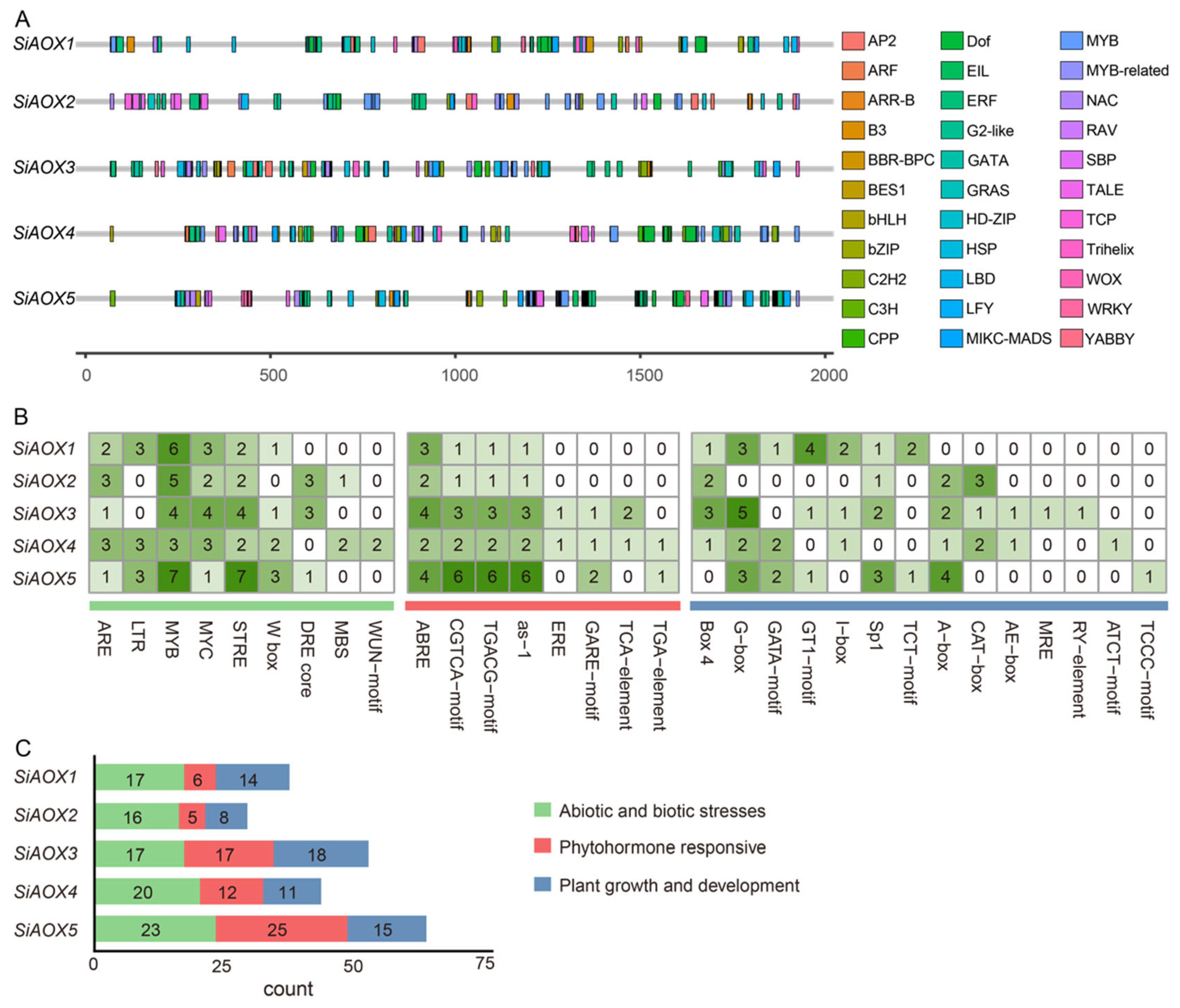 Plants 13 02565 g004