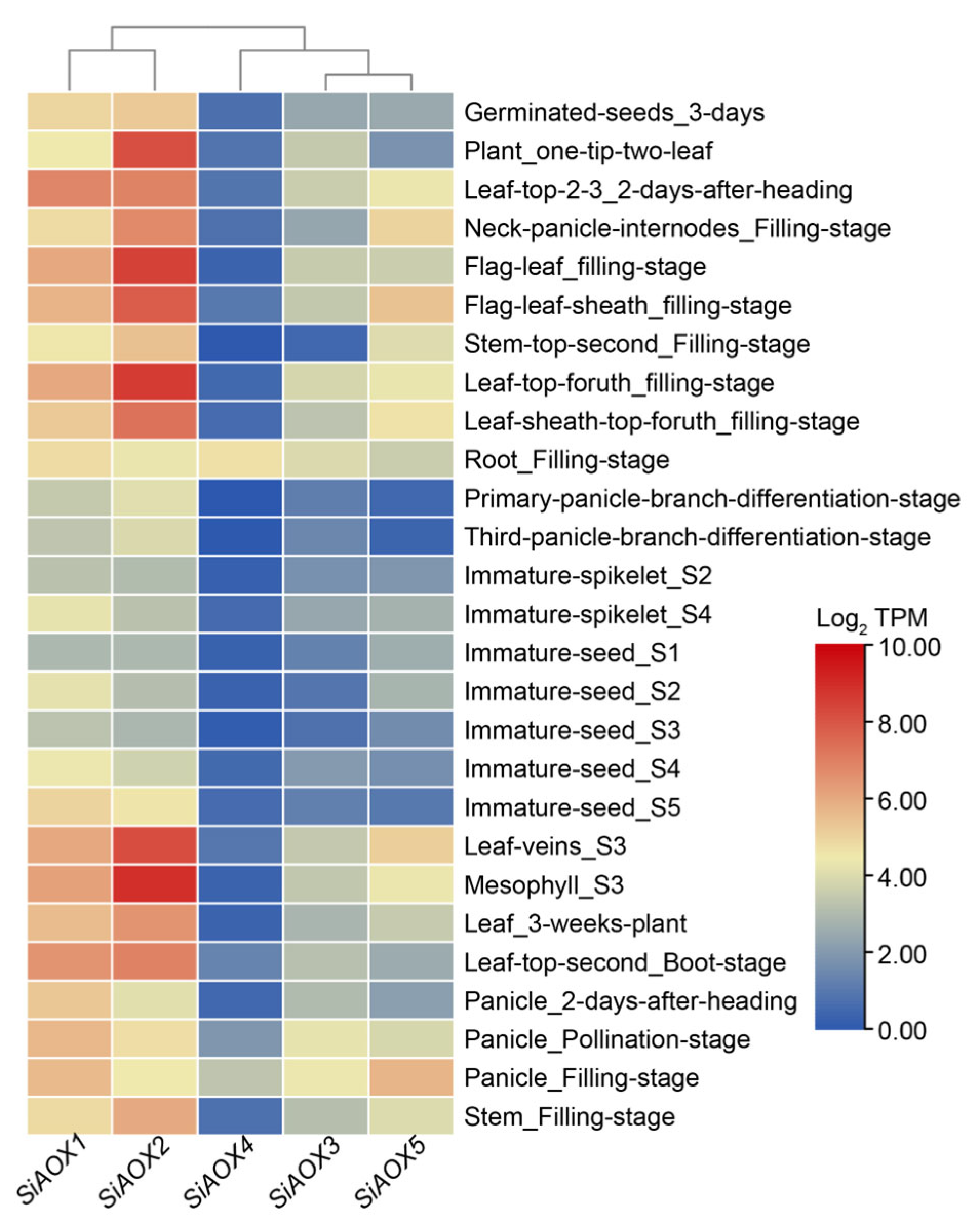 Plants 13 02565 g005