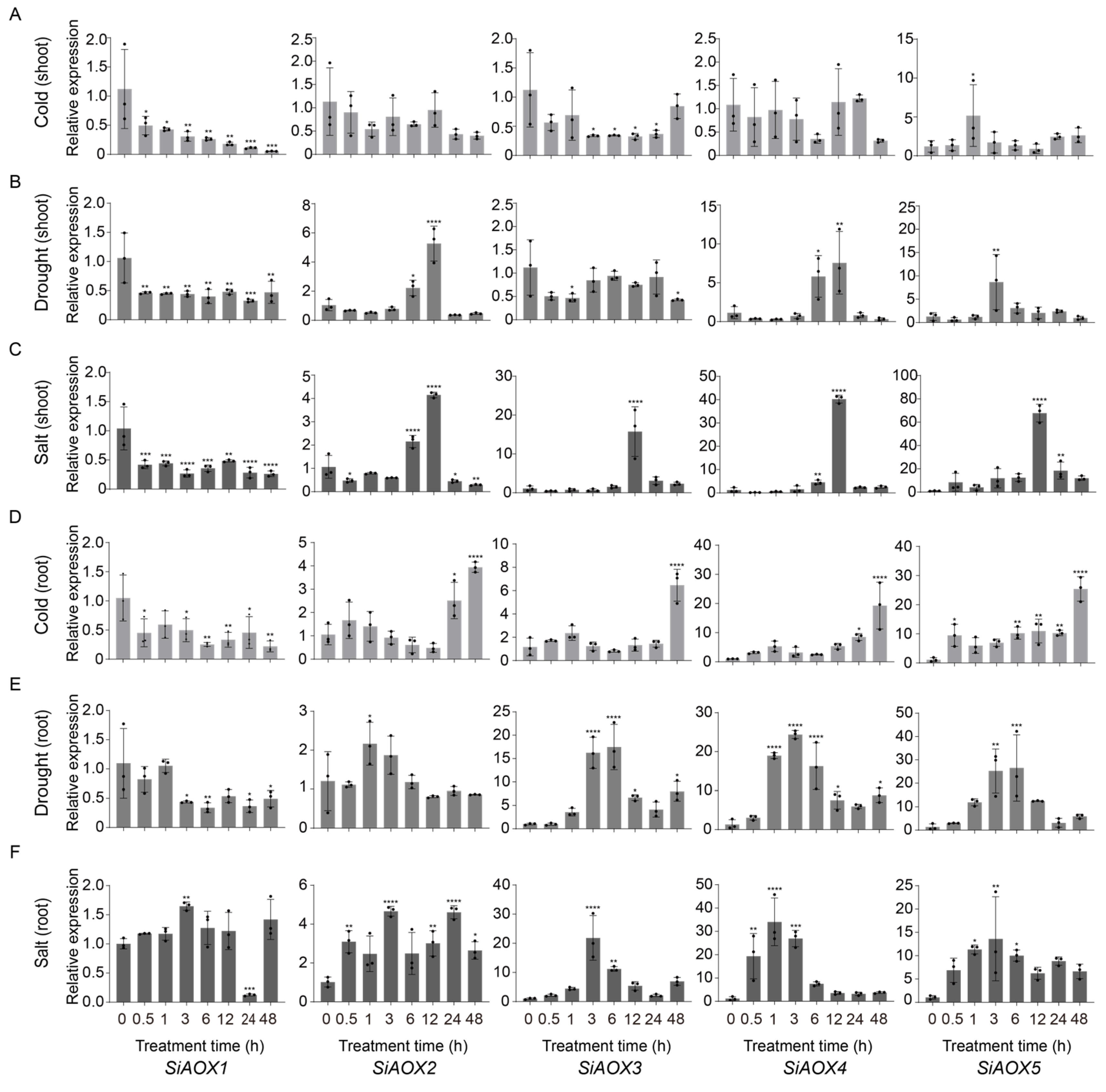 Plants 13 02565 g006