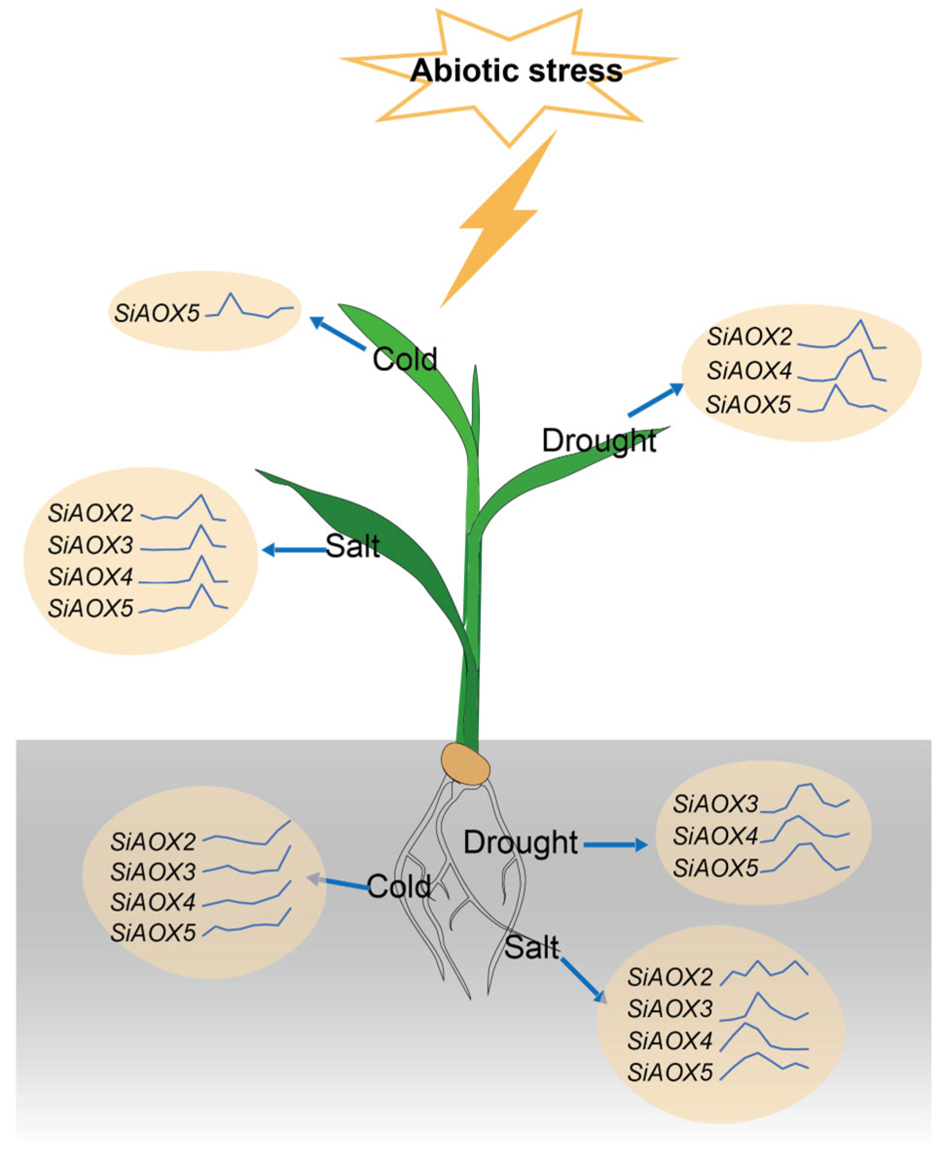Plants 13 02565 g010