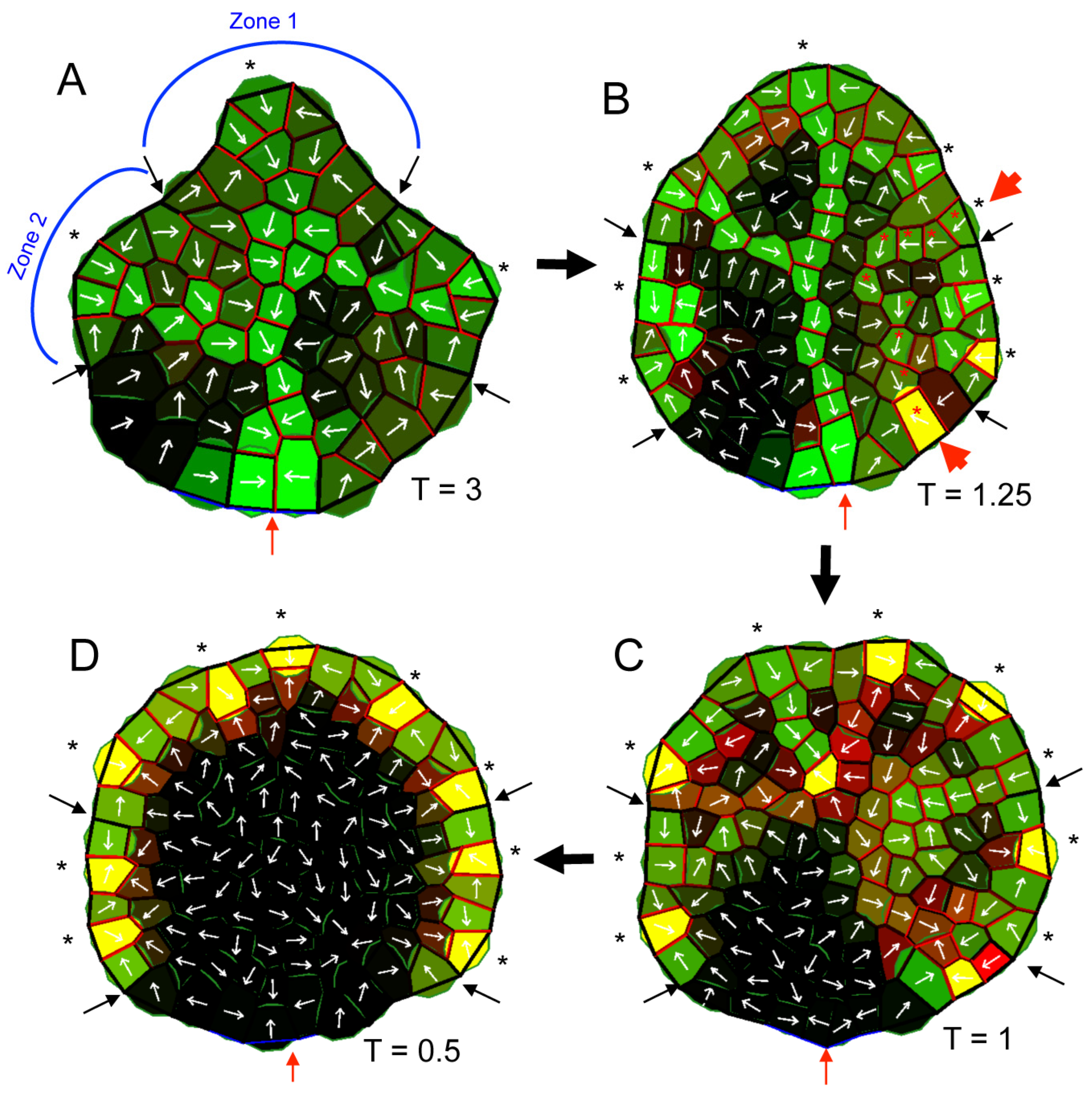 Plants 13 02566 g005