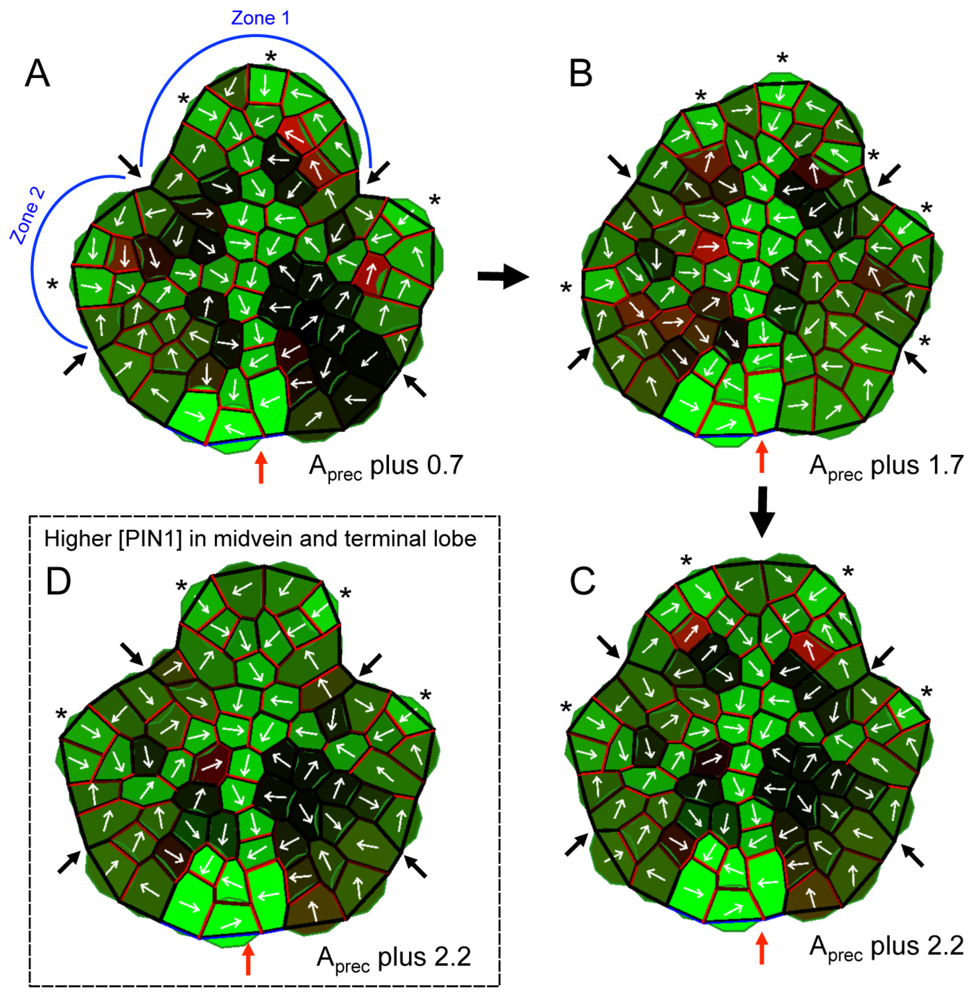 Plants 13 02566 g008