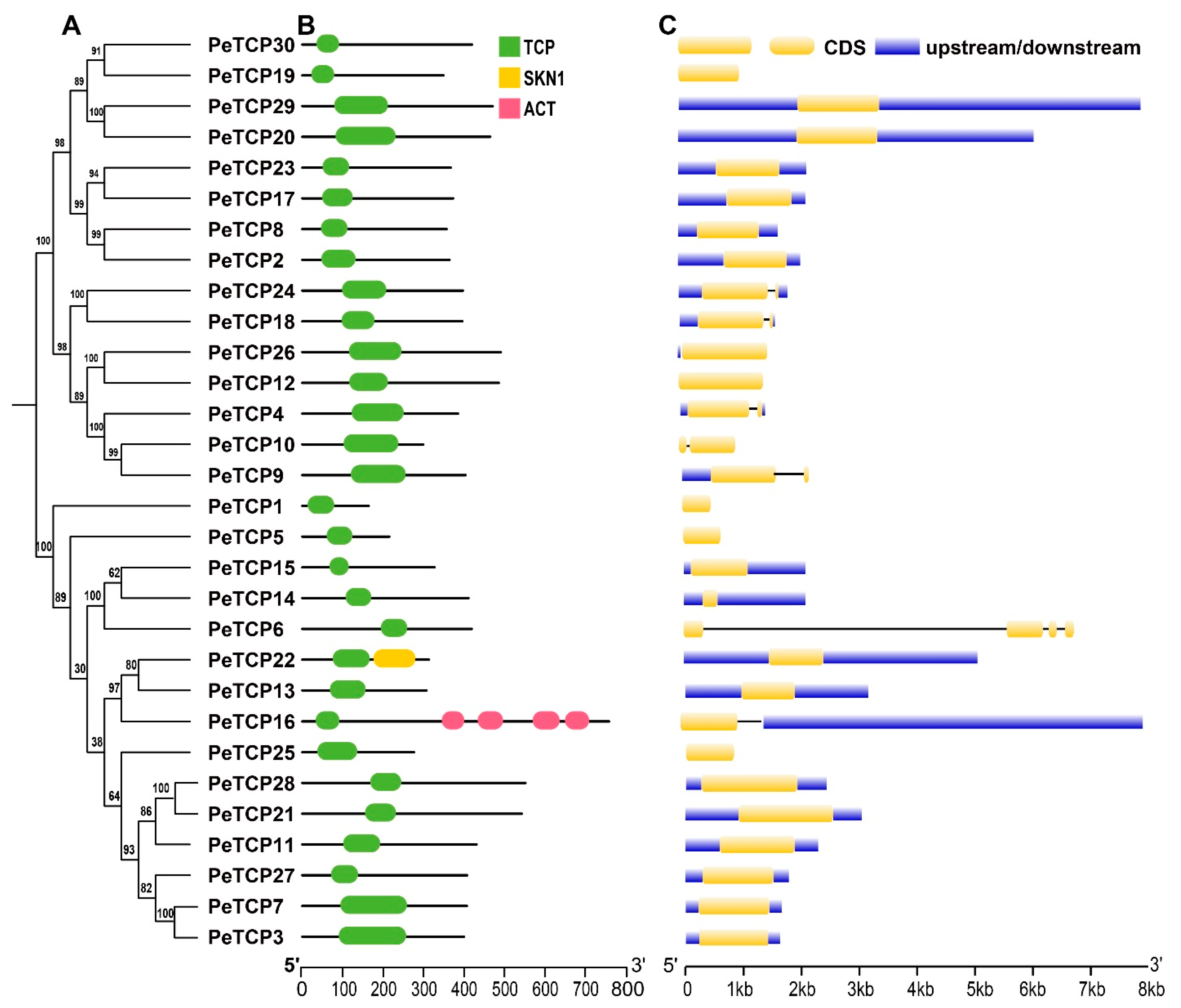 Plants 13 02568 g003