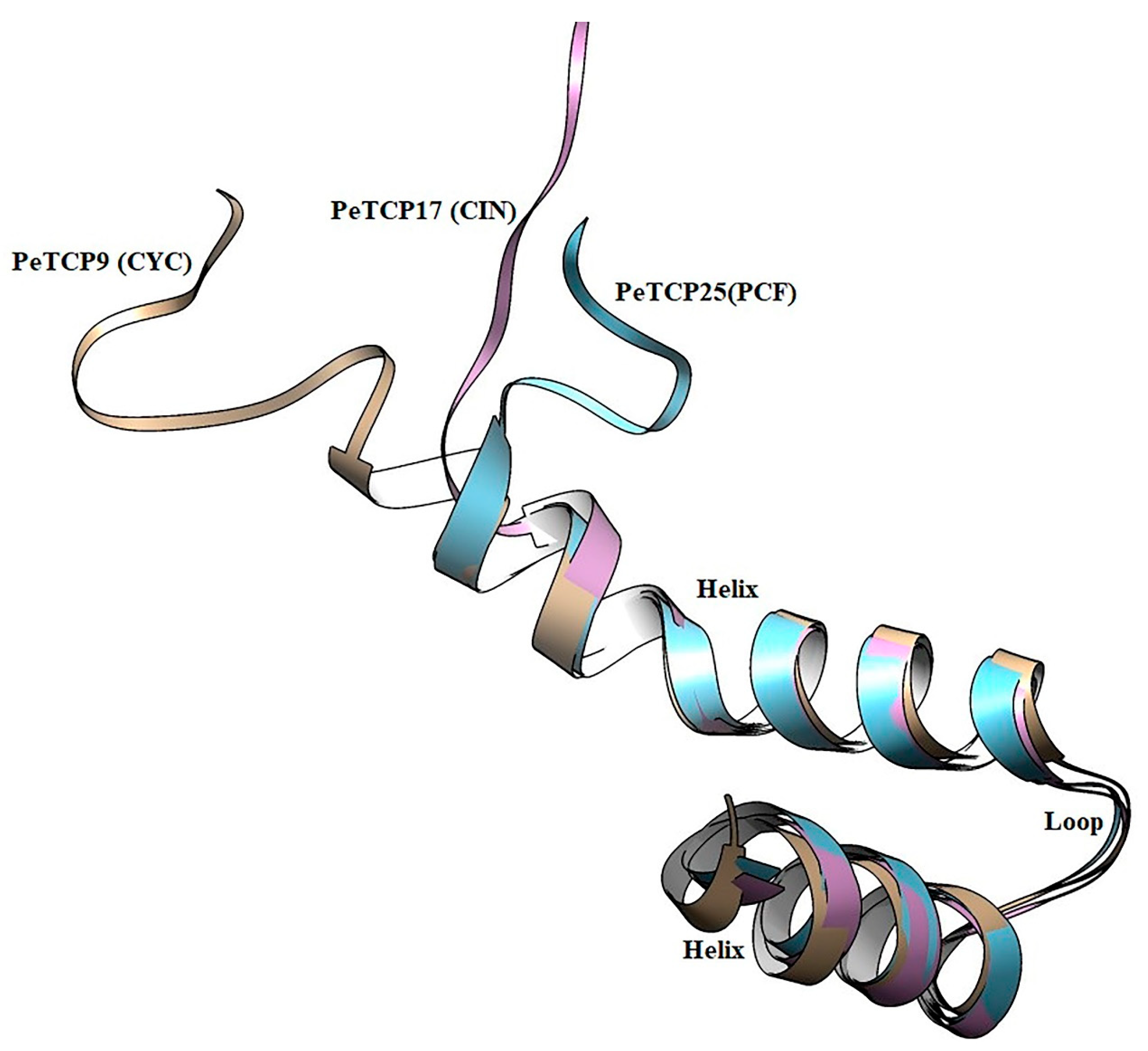 Plants 13 02568 g004