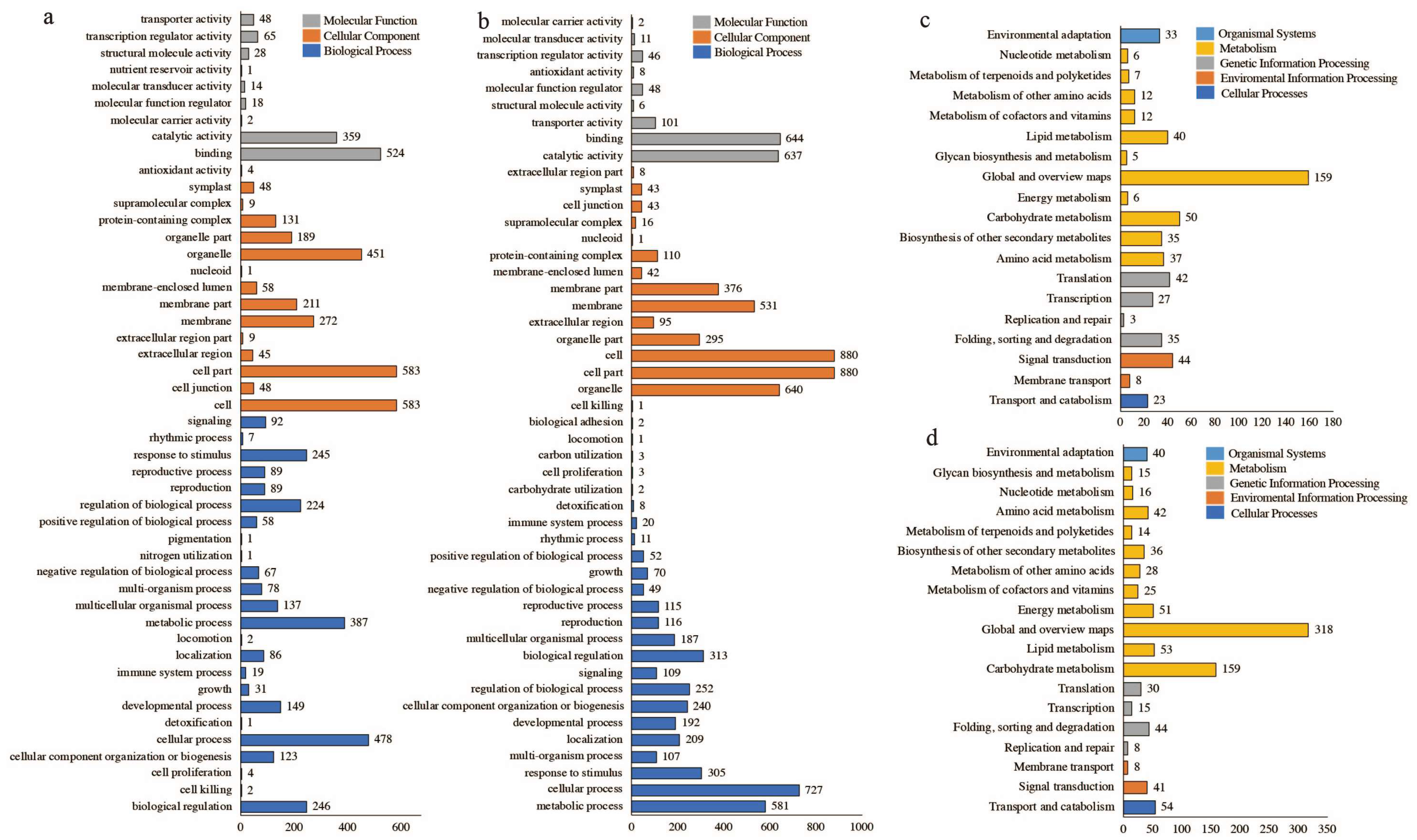 Plants 13 02571 g006