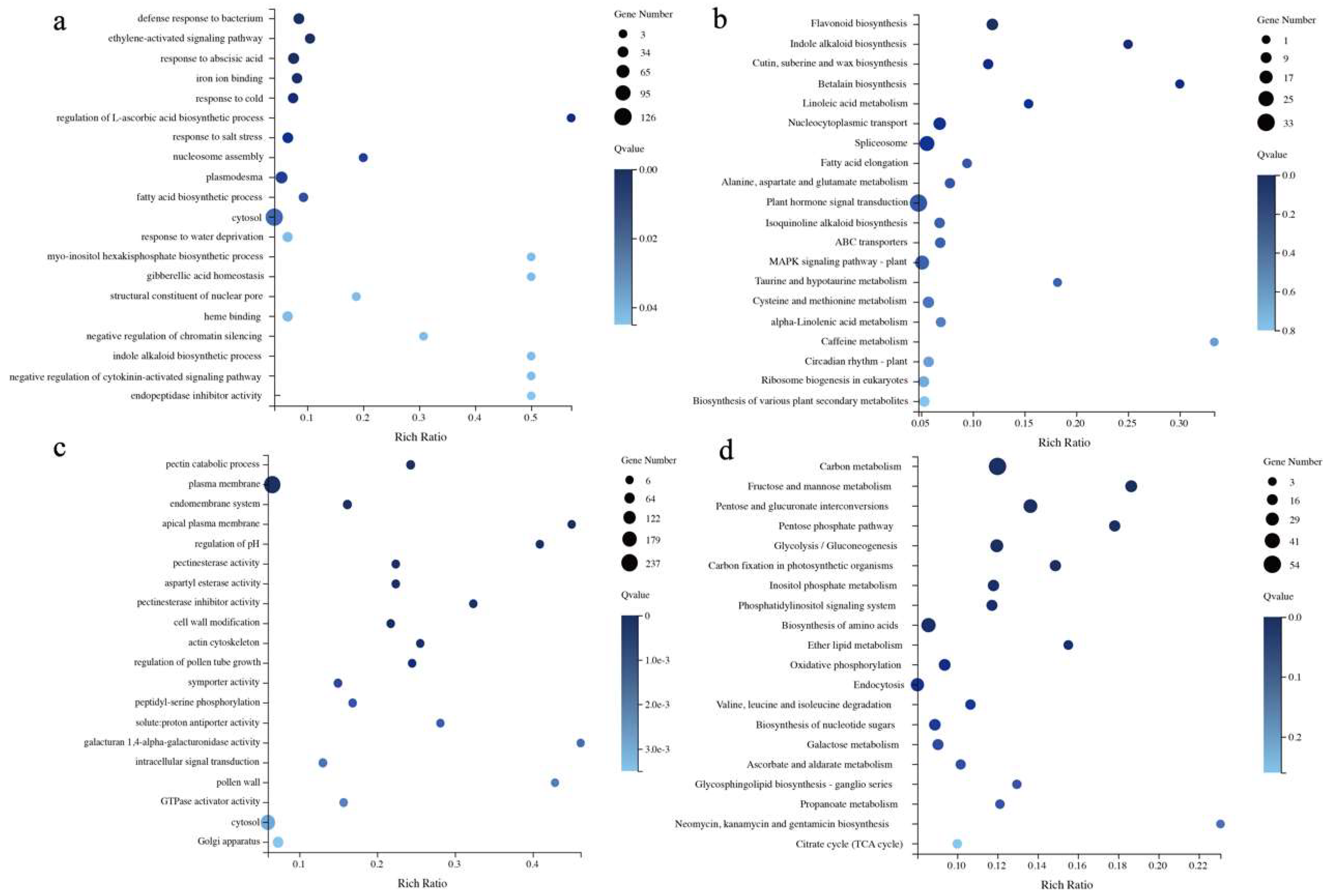 Plants 13 02571 g007