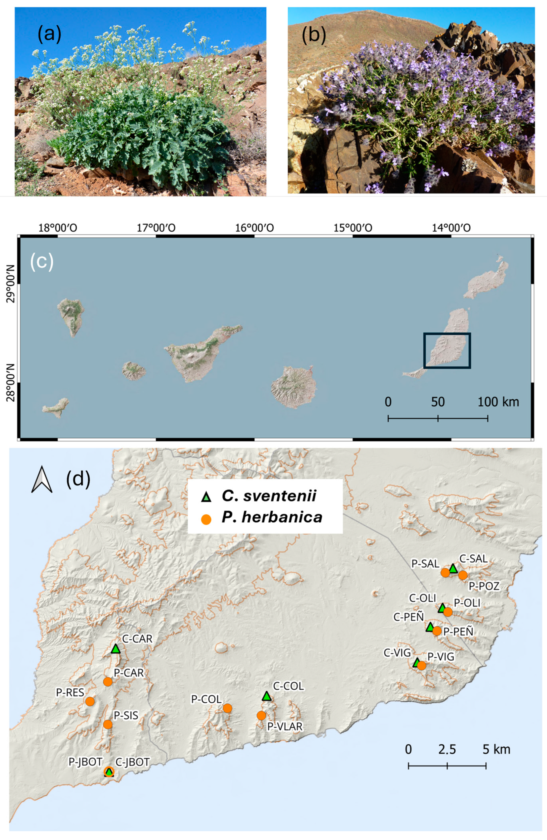 Plants 13 02573 g001