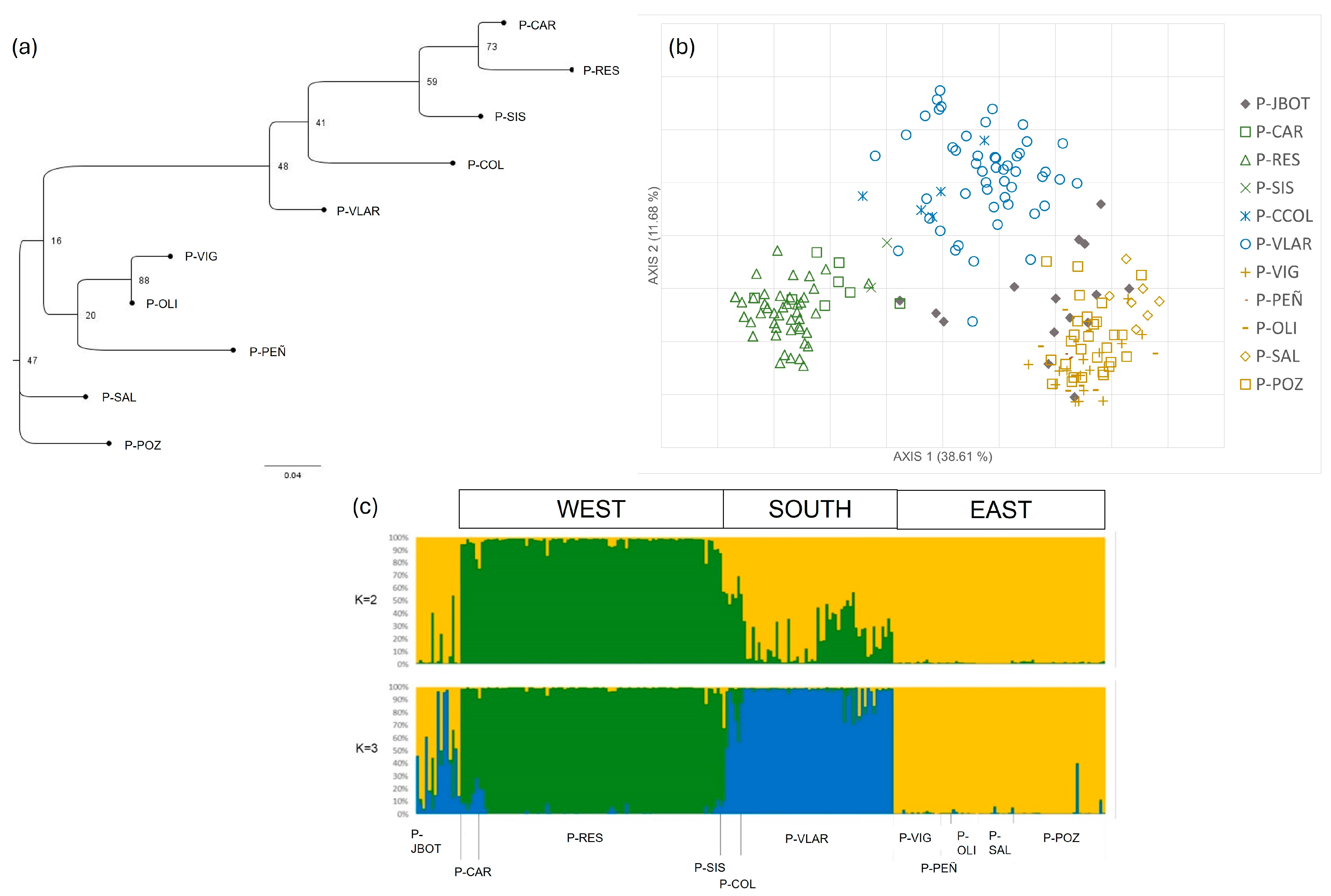 Plants 13 02573 g003