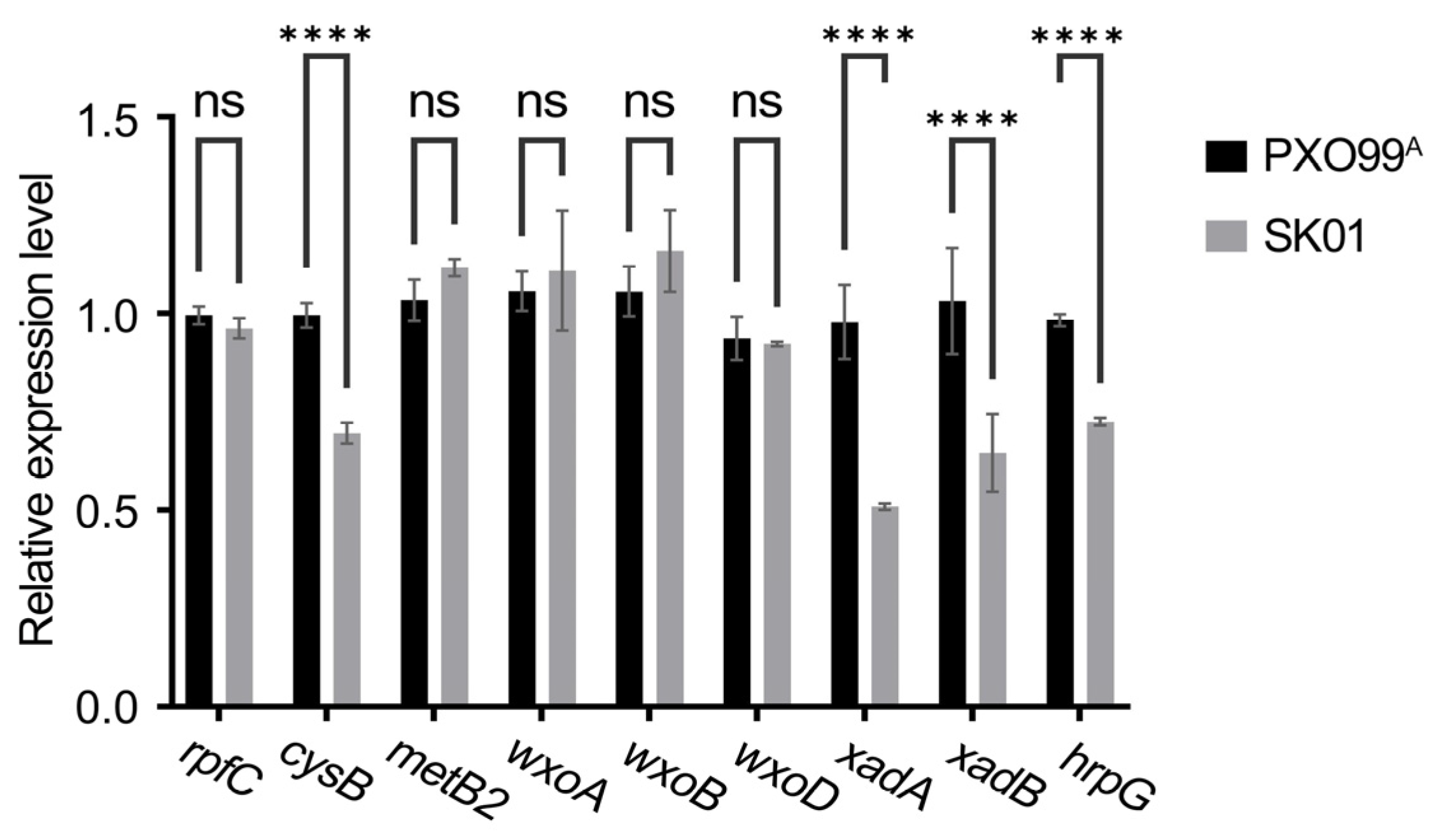 Plants 13 02576 g004