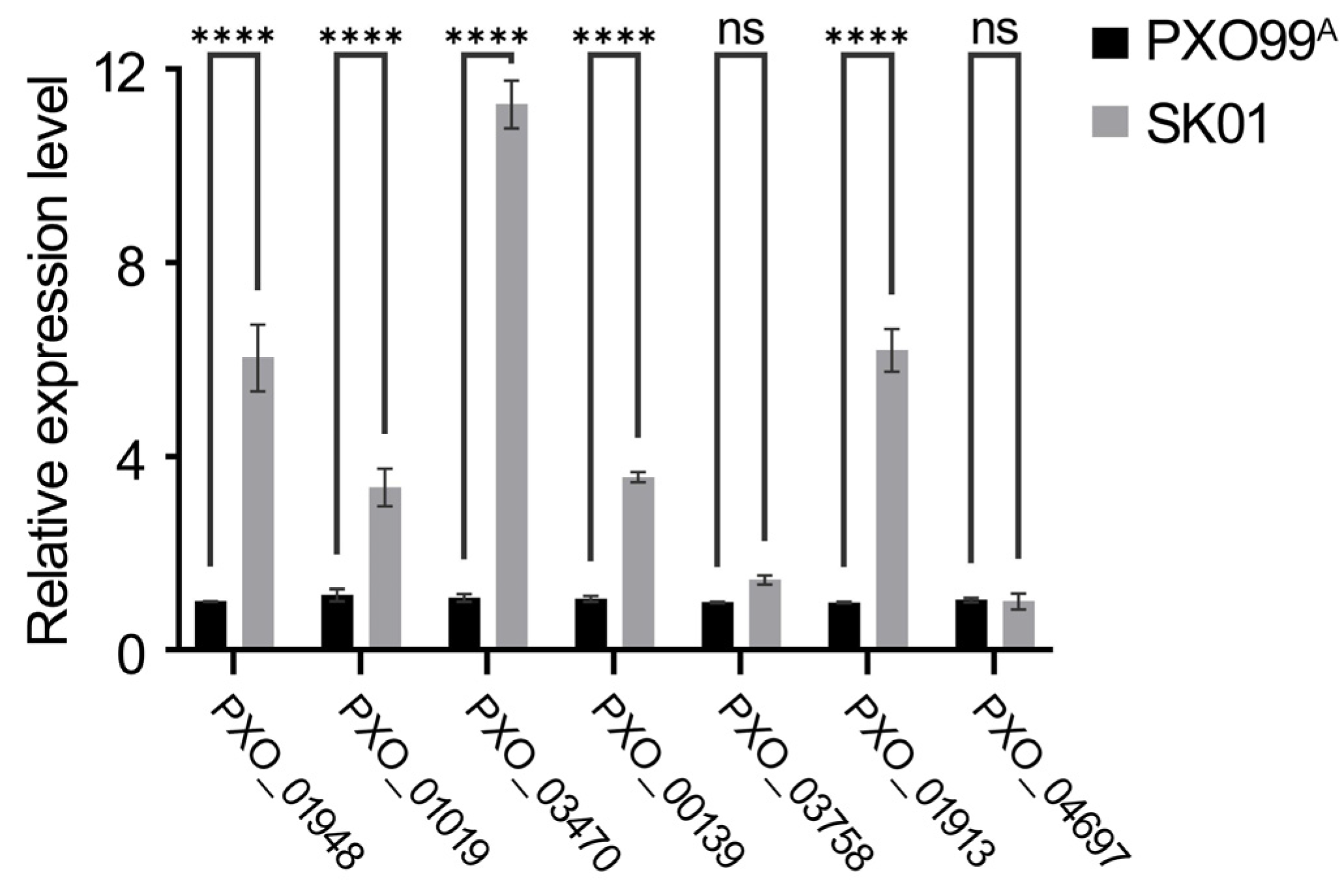 Plants 13 02576 g005