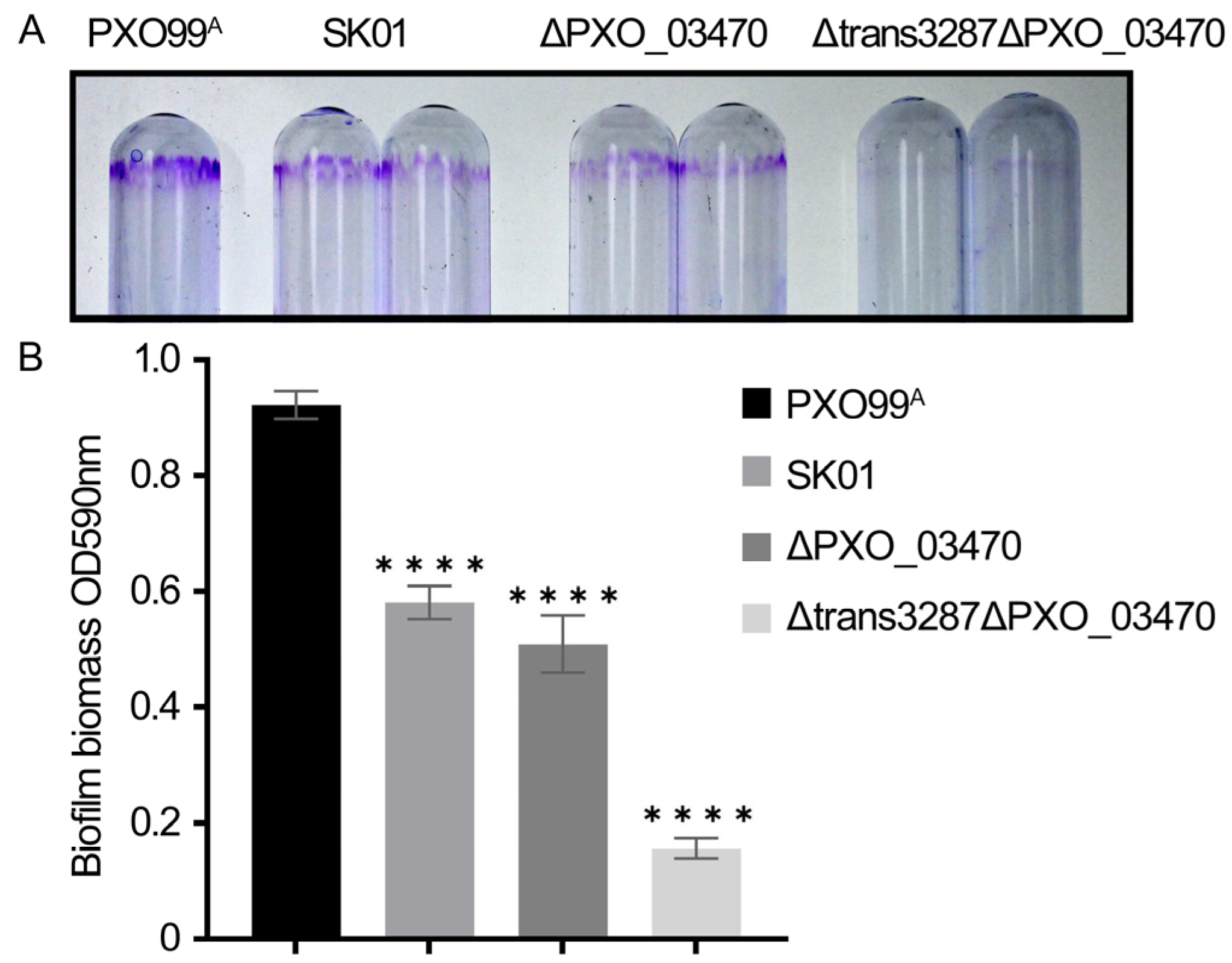 Plants 13 02576 g008