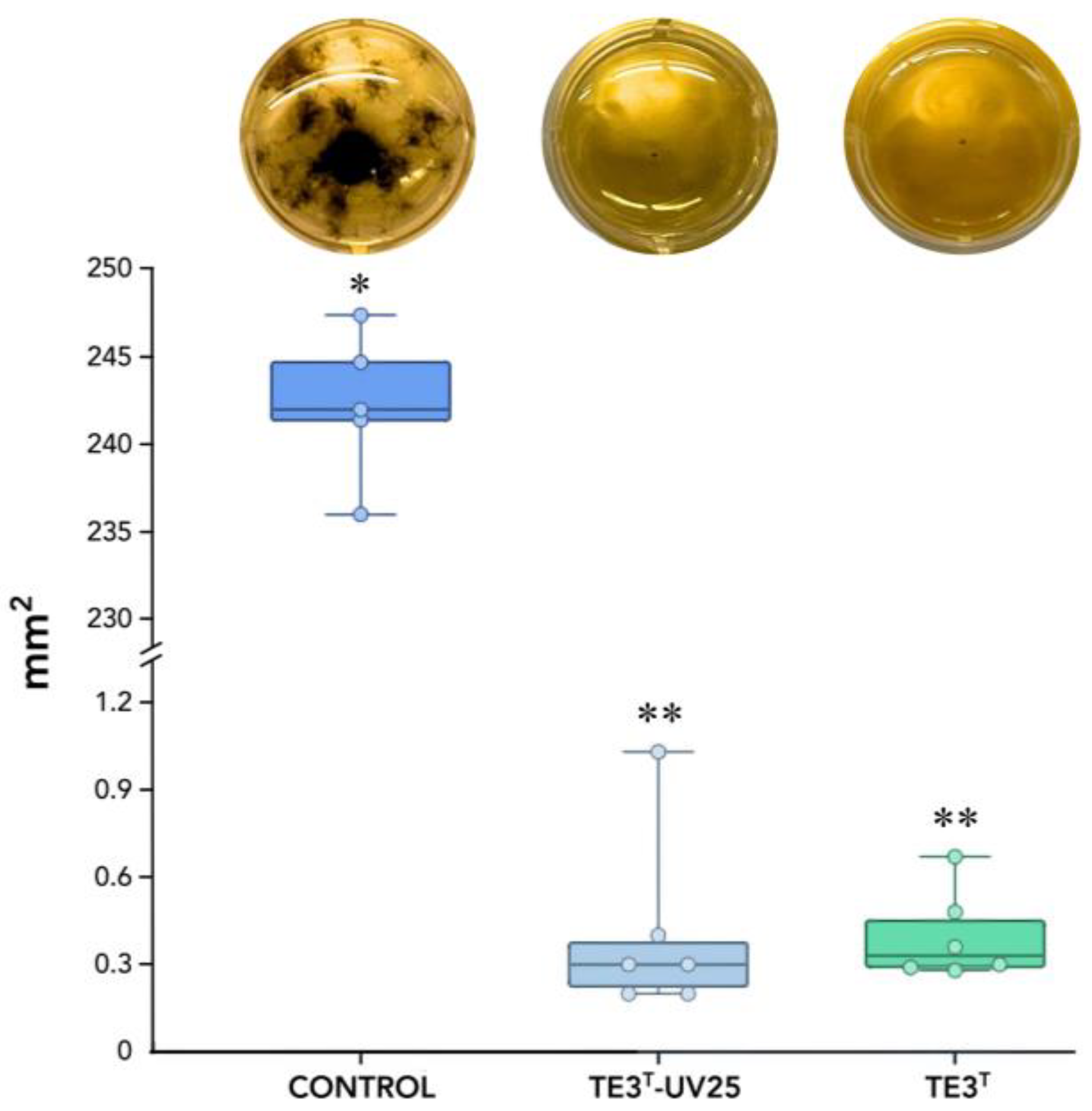 Plants 13 02578 g002 Plants 13 02578 g002
