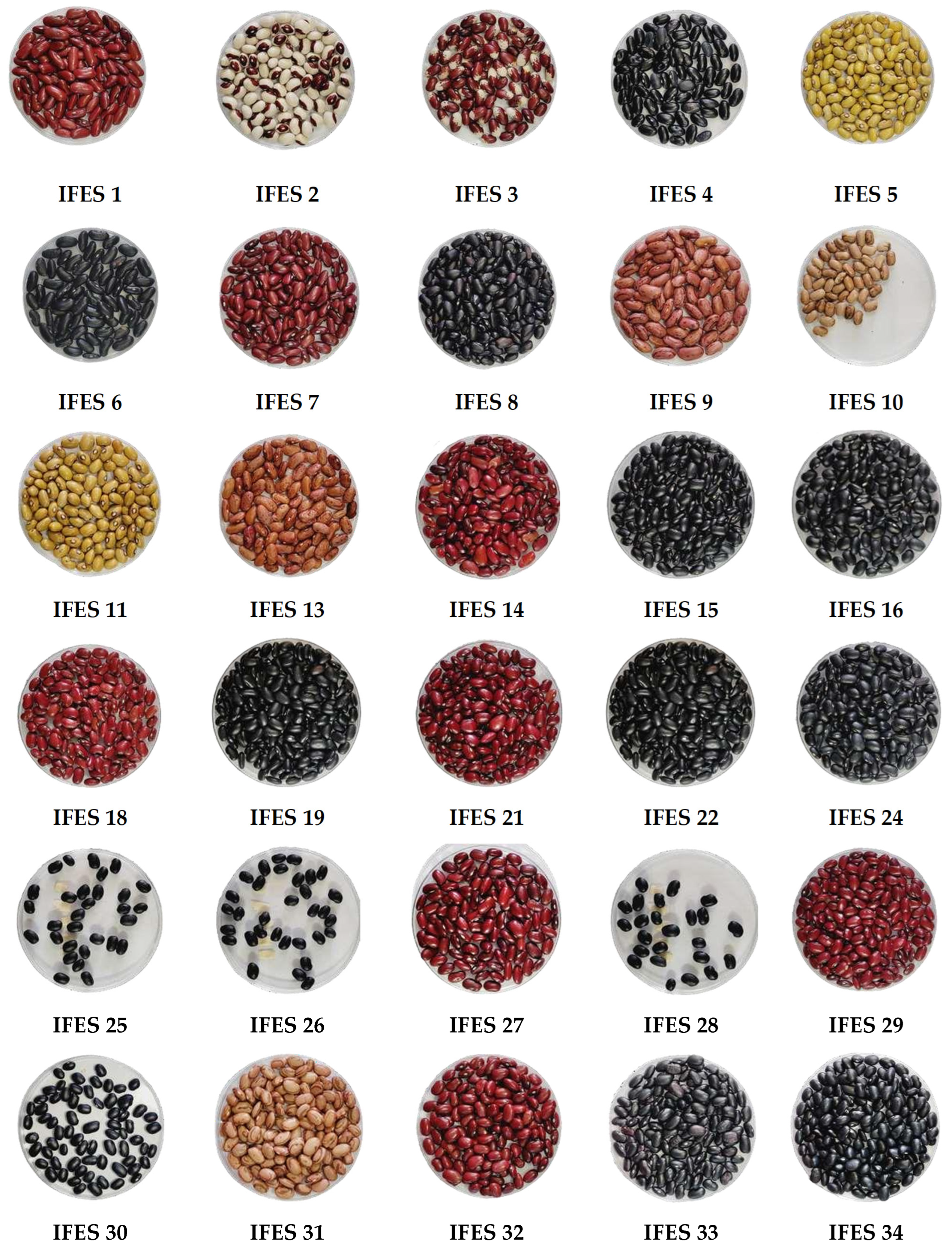 Plants 13 02584 g001a