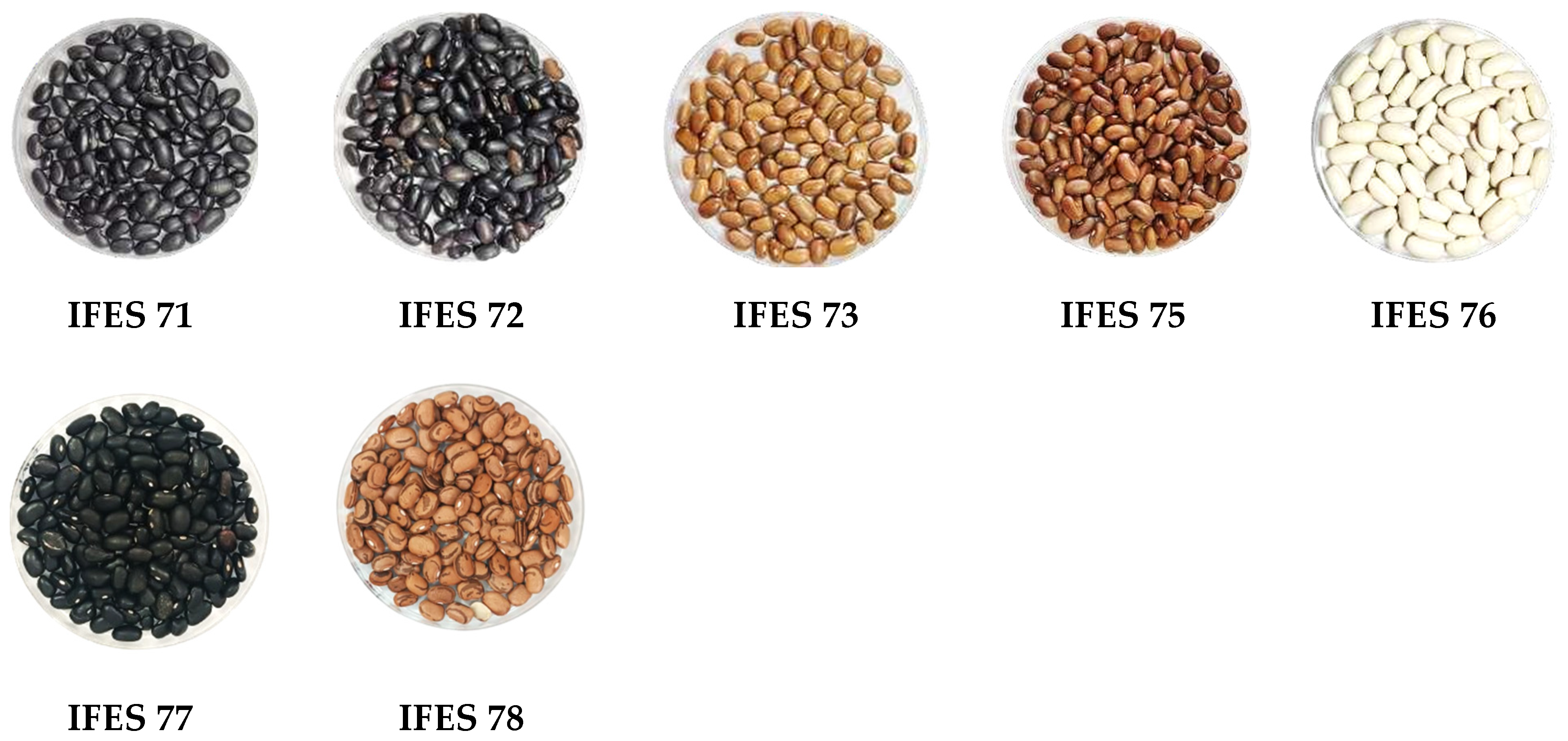 Plants 13 02584 g001c