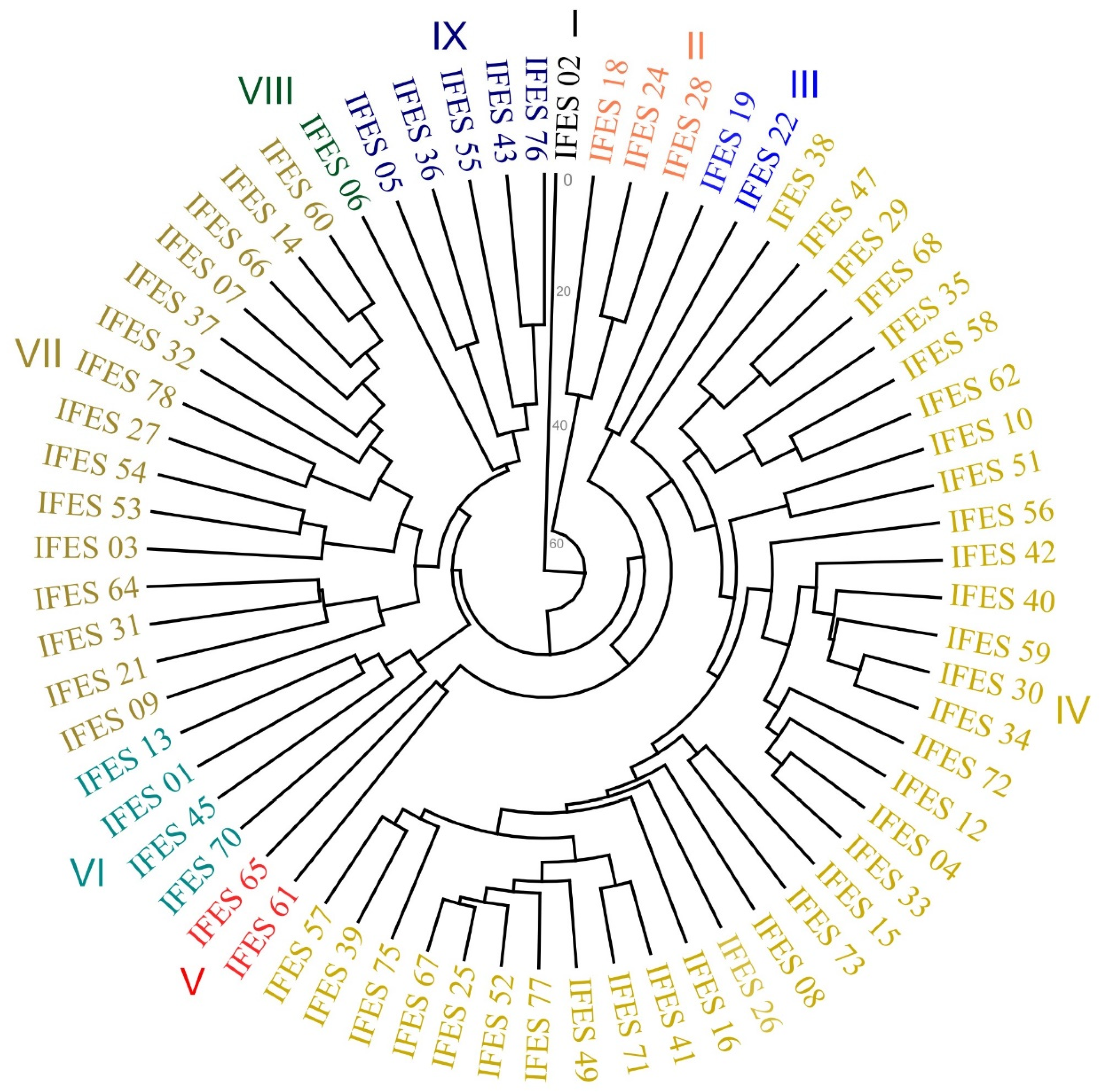 Plants 13 02584 g002