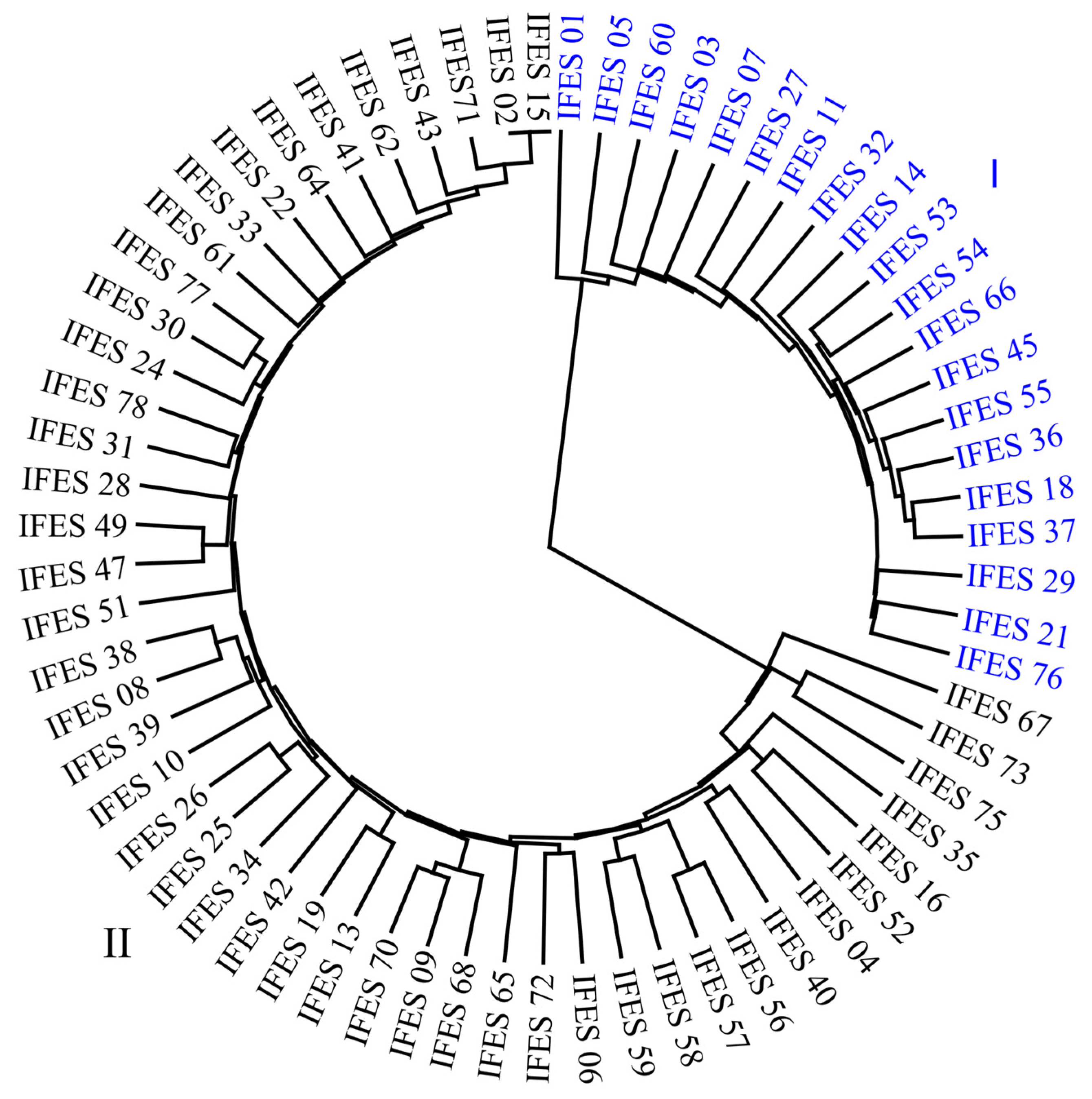Plants 13 02584 g003