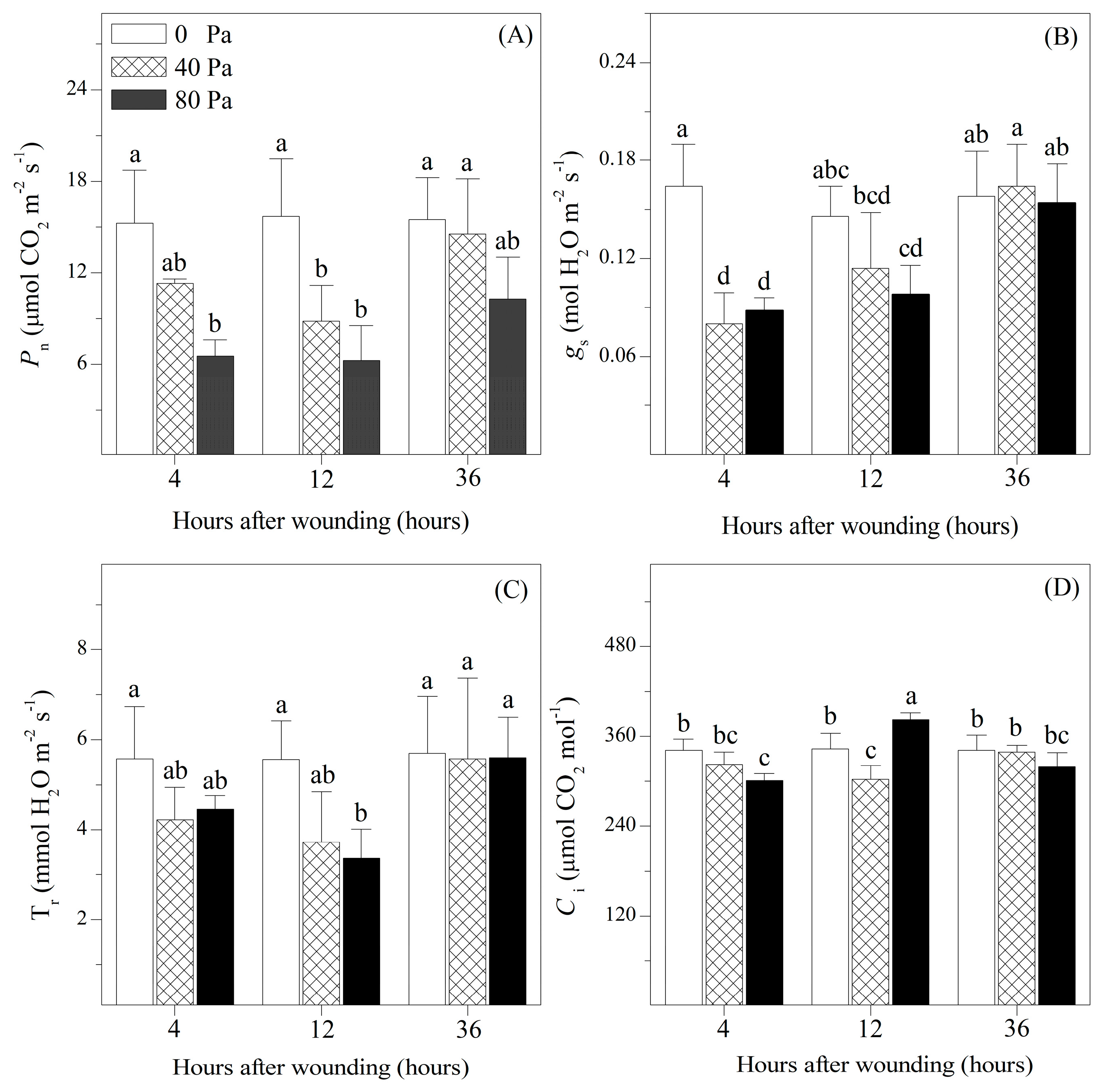 Plants 13 02594 g002