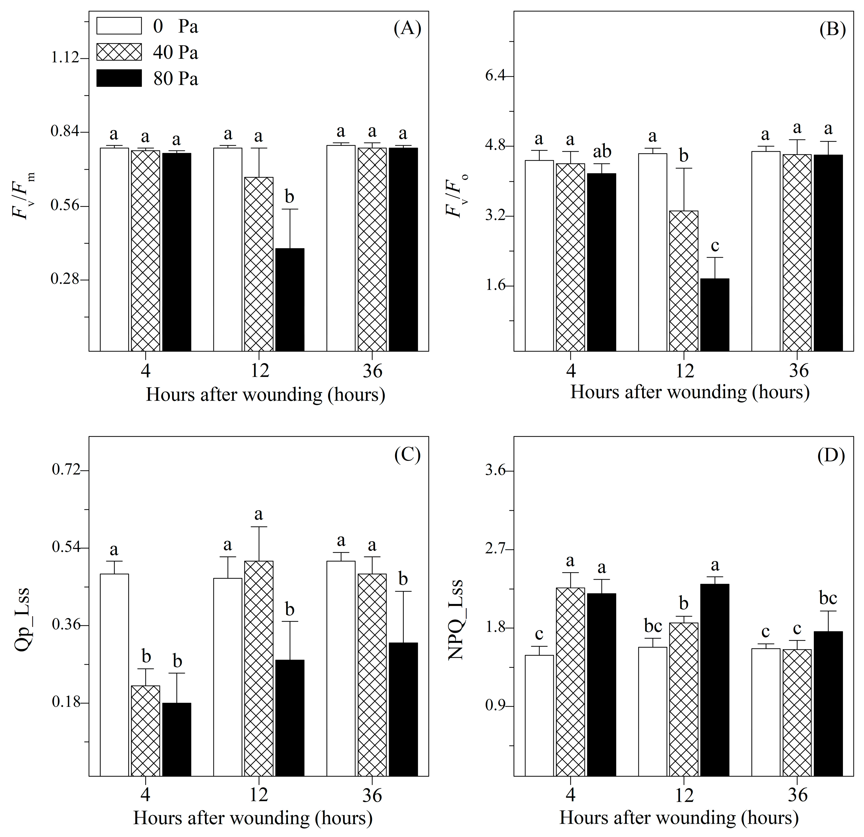 Plants 13 02594 g004