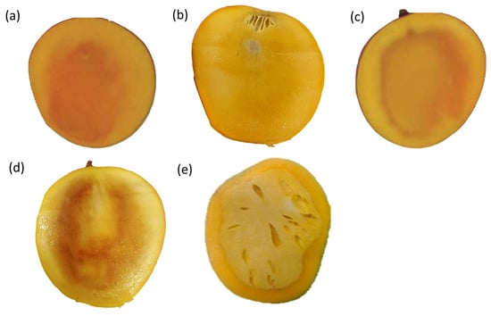 Plants 13 02596 g002