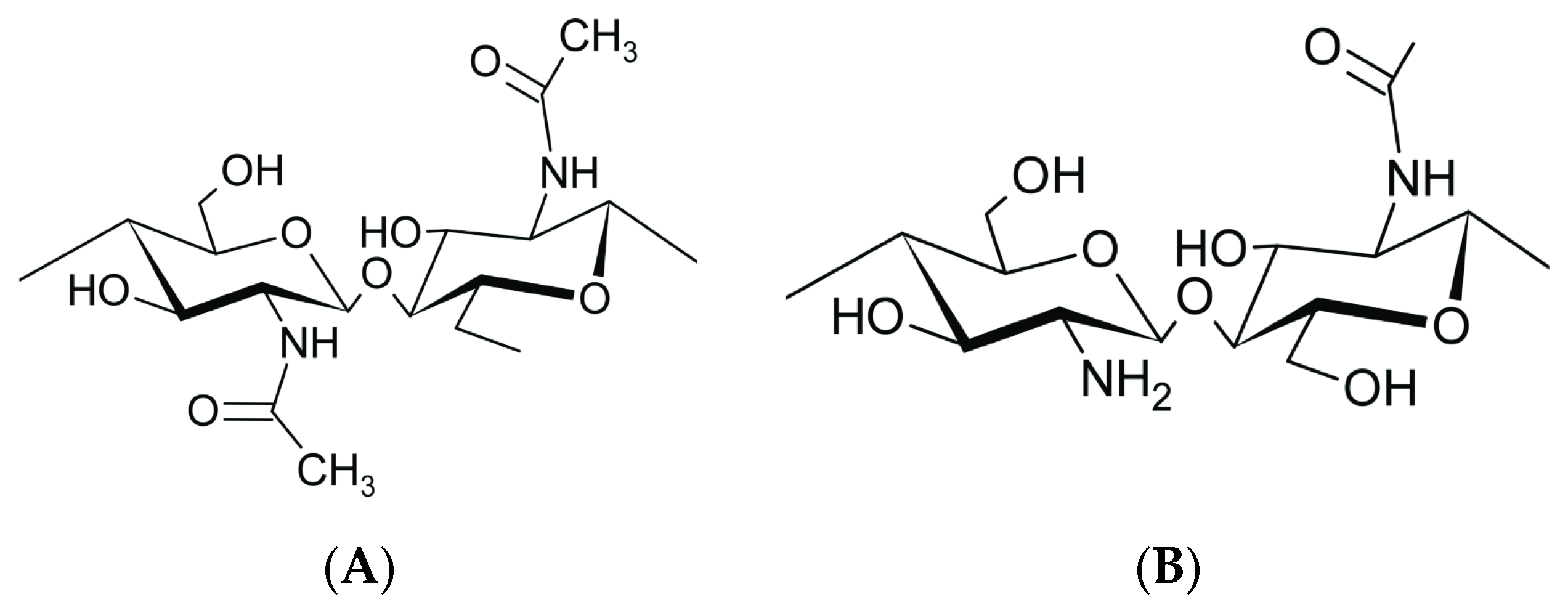 Plants 13 02598 g001