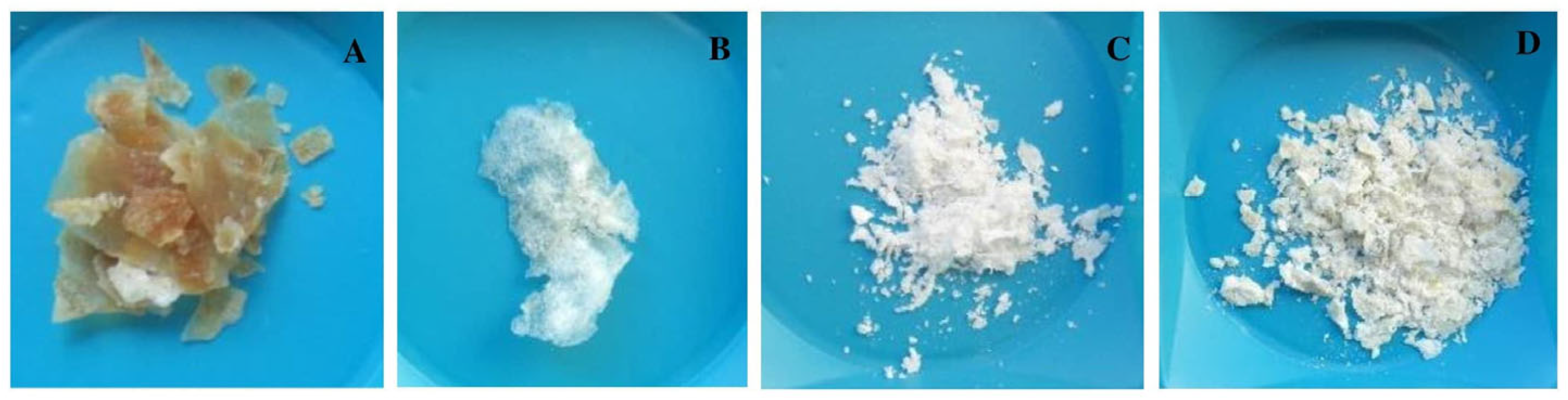 Plants 13 02598 g002