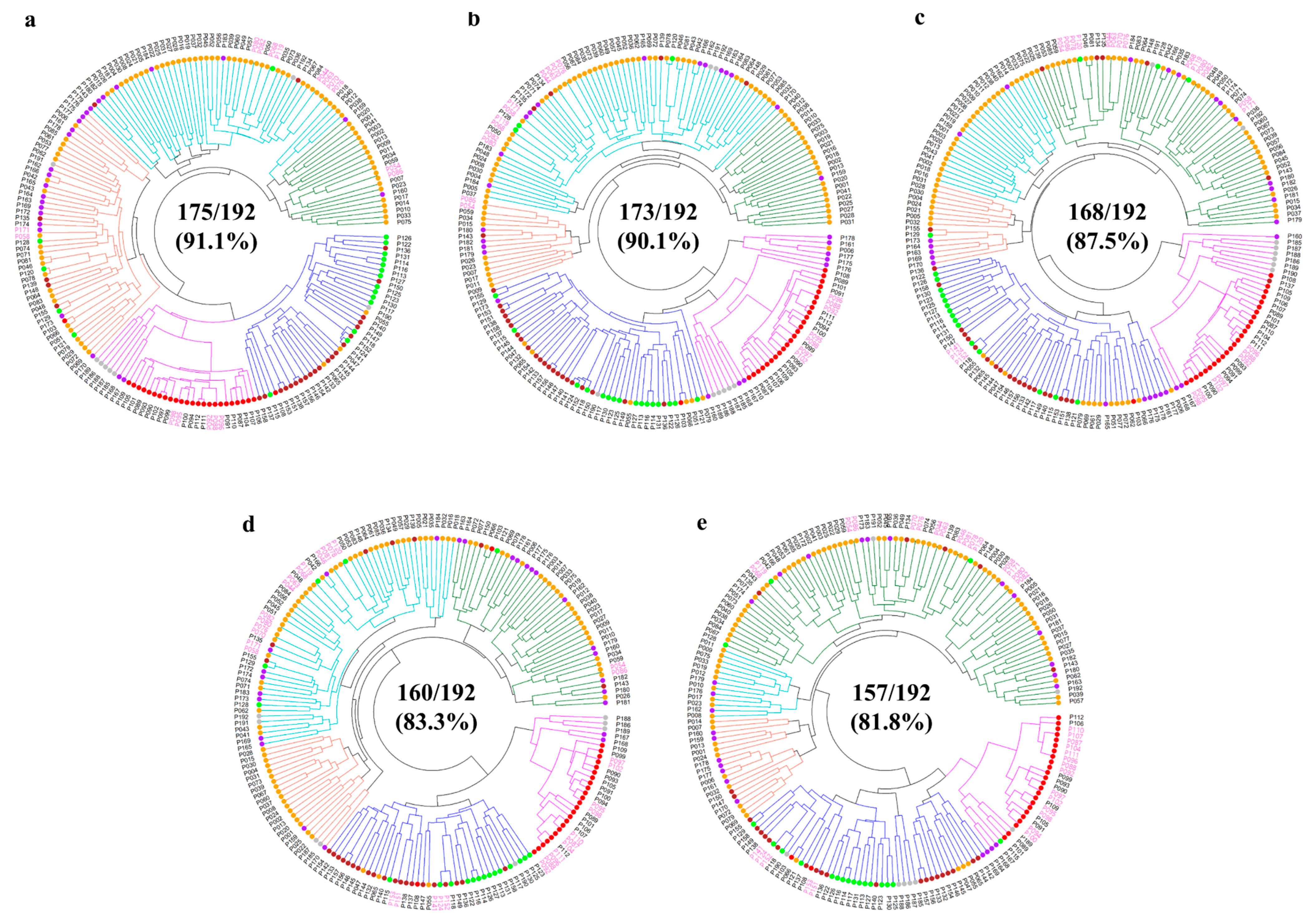 Plants 13 02600 g002