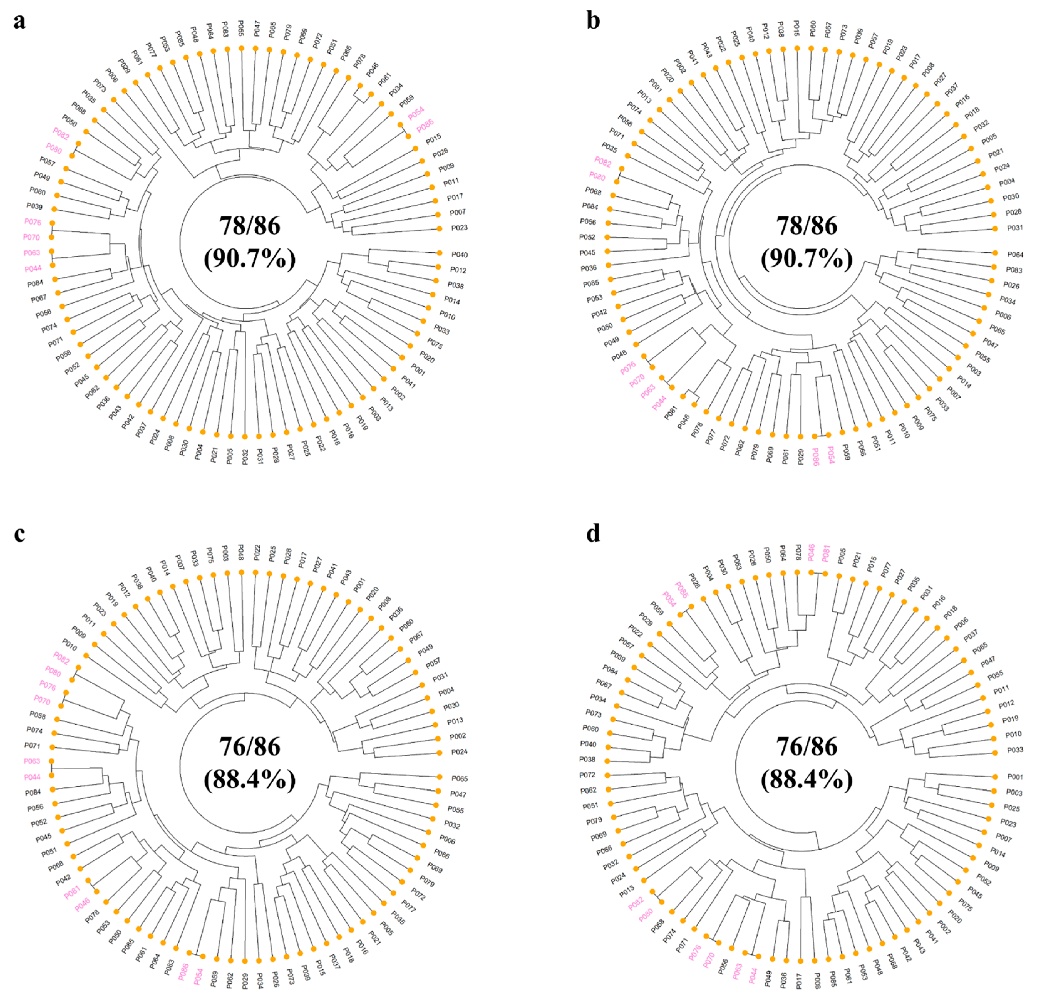 Plants 13 02600 g003