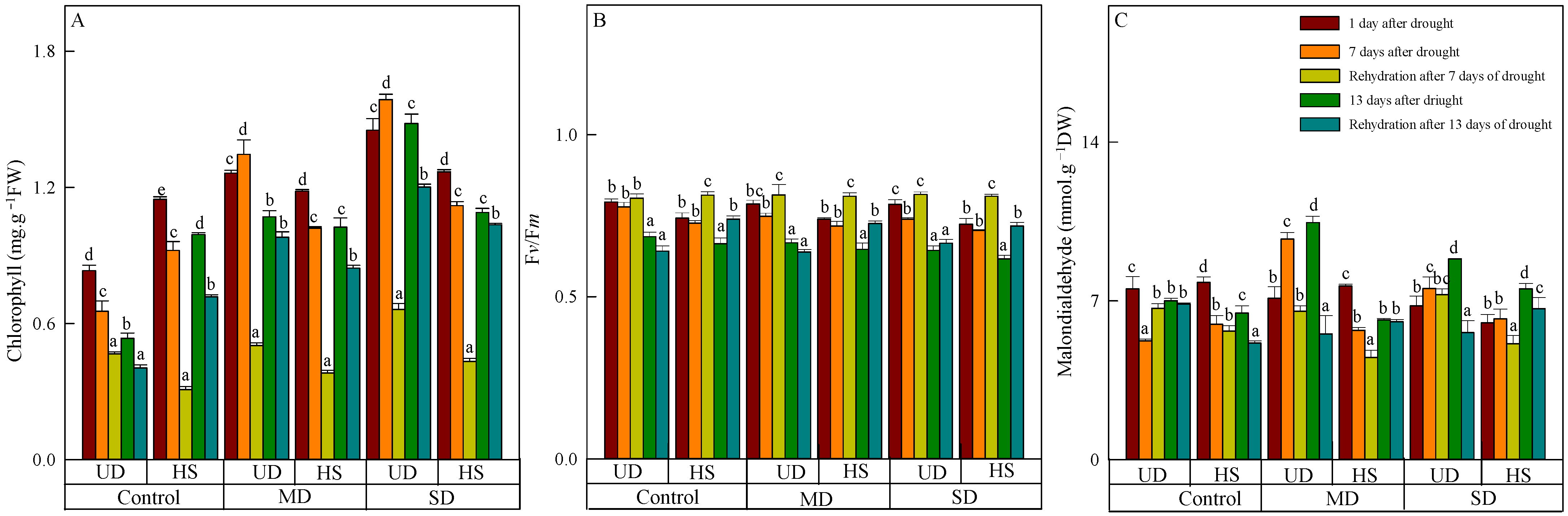 Plants 13 02601 g001