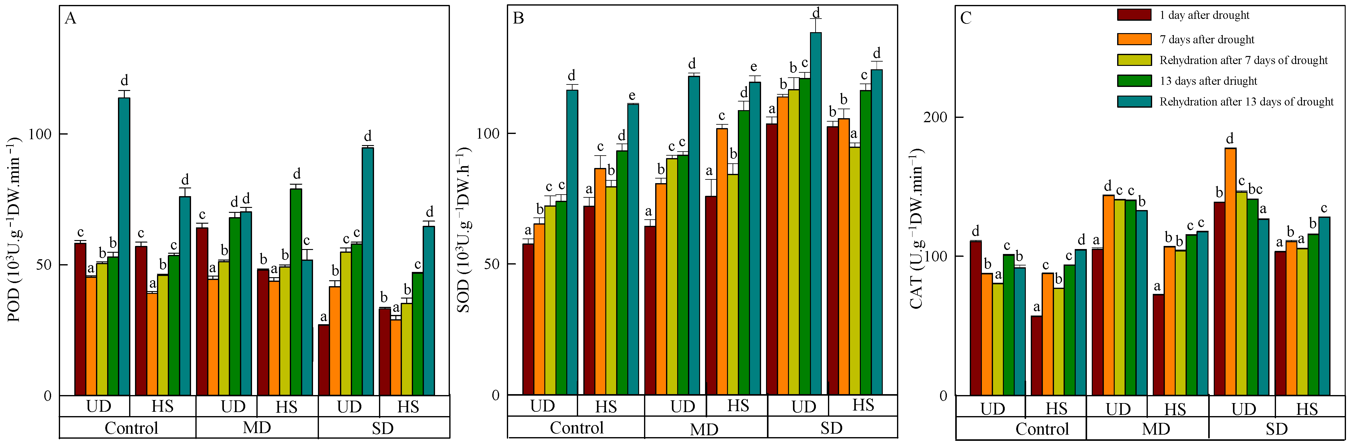 Plants 13 02601 g002