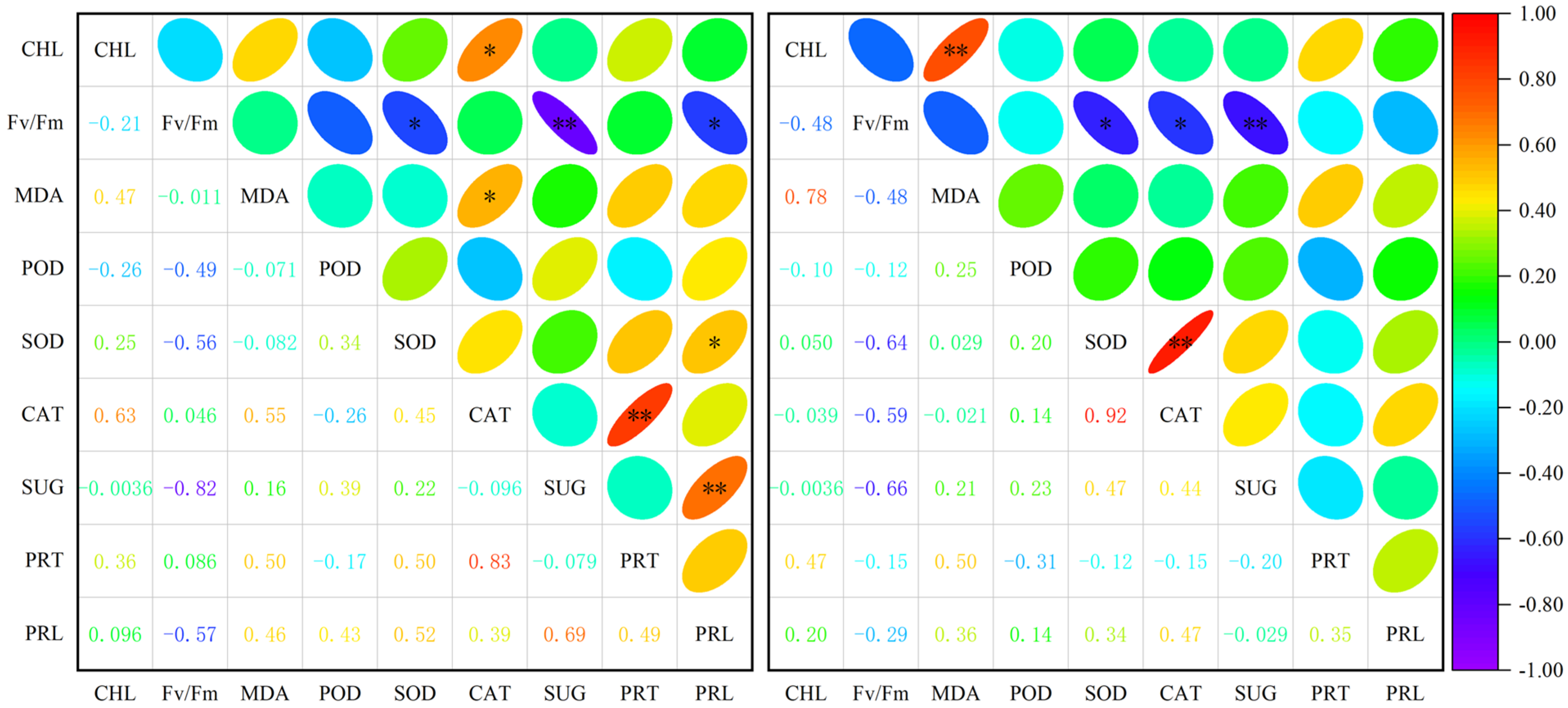 Plants 13 02601 g004