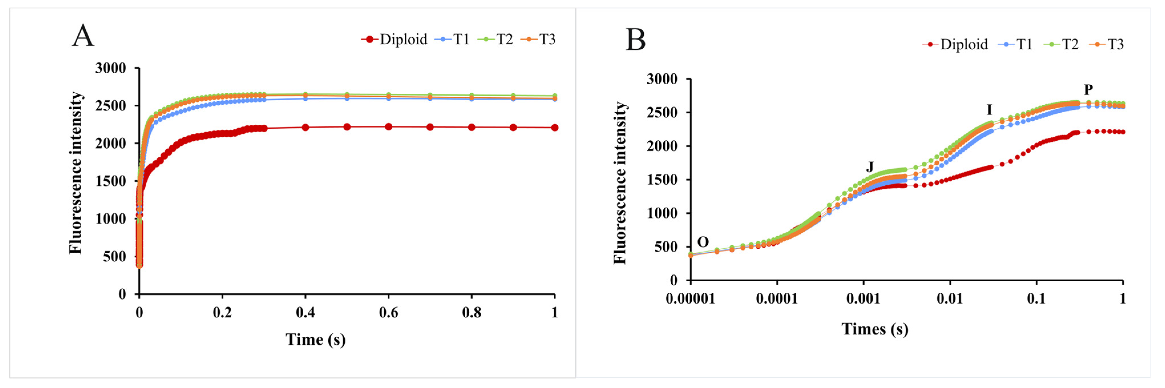 Plants 13 02603 g007