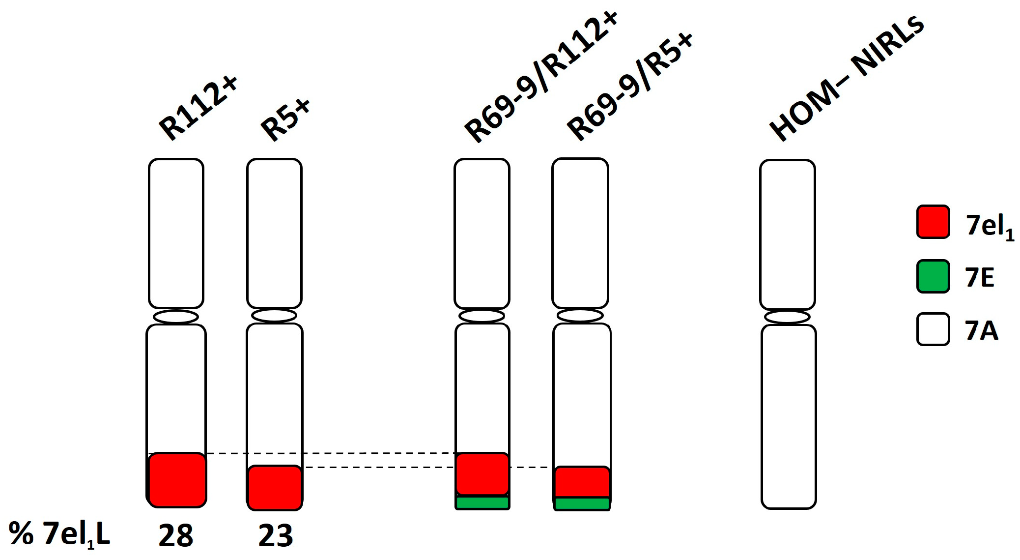 Plants 13 02605 g001