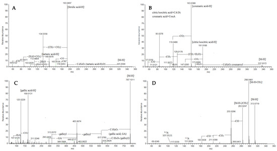Plants 13 02612 g002