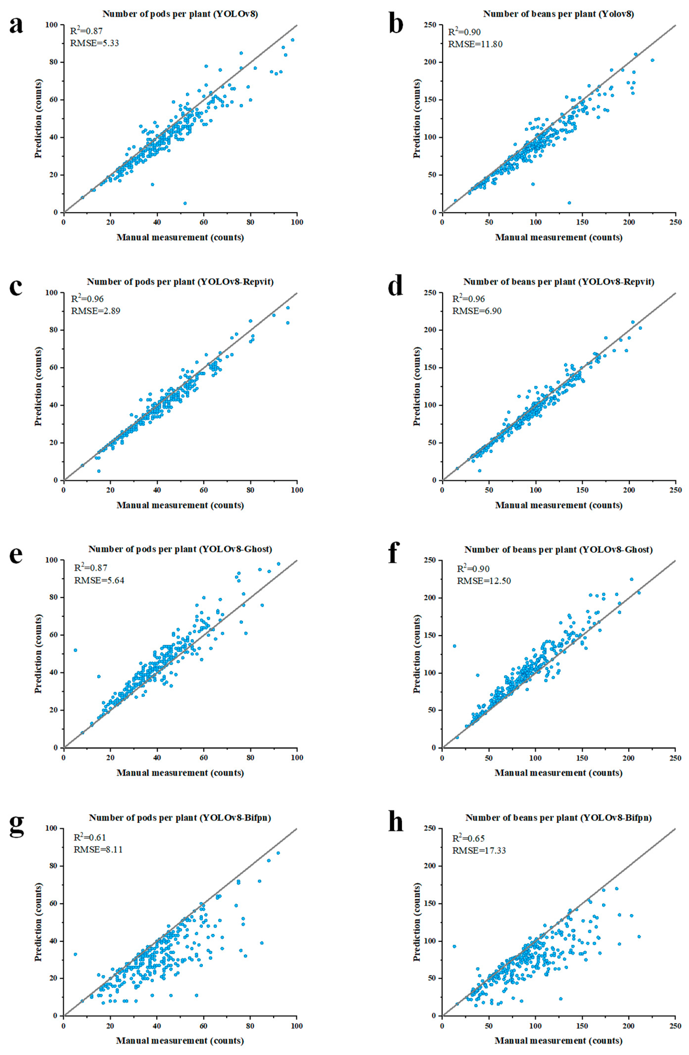 Plants 13 02613 g002