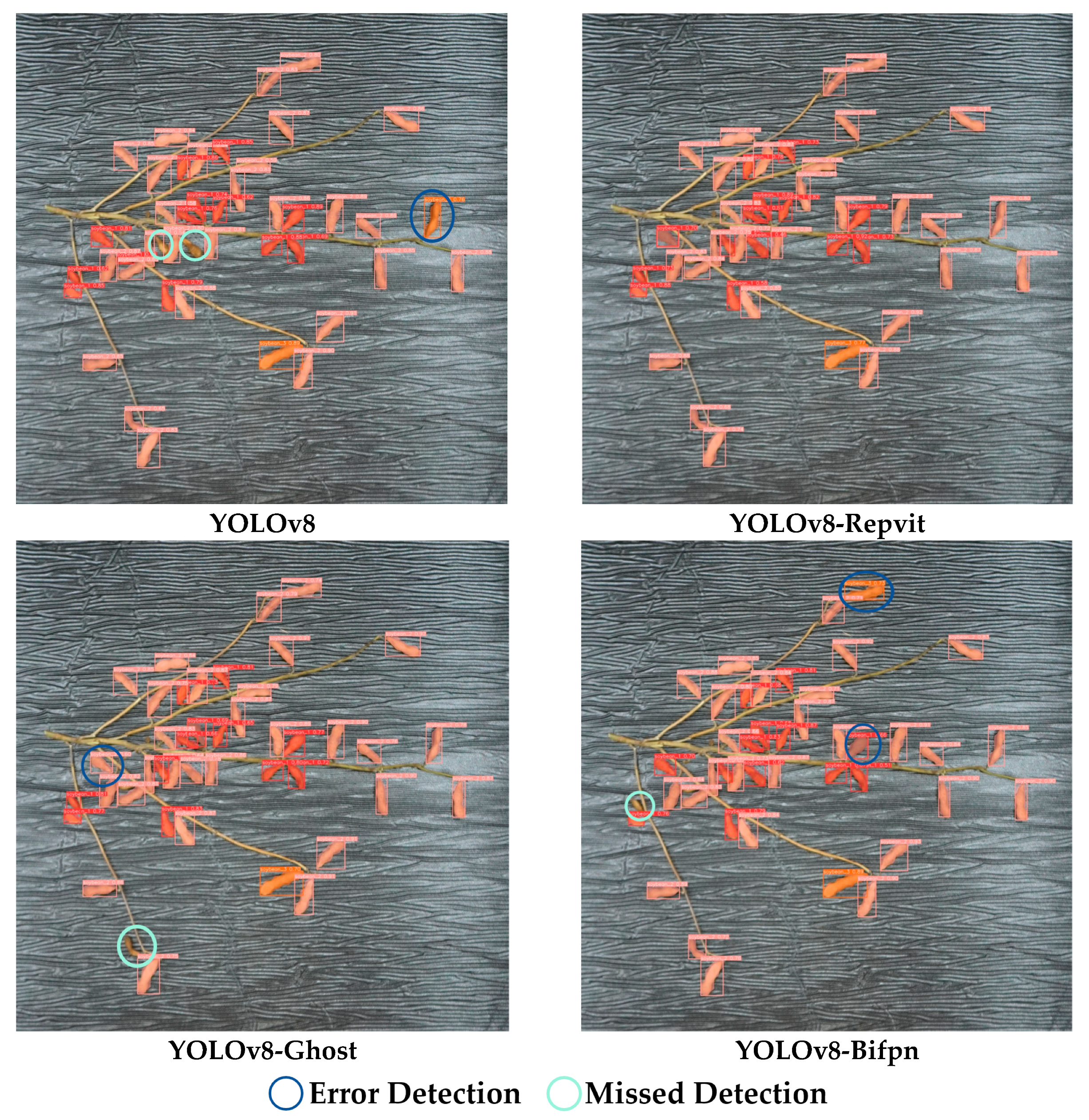 Plants 13 02613 g004