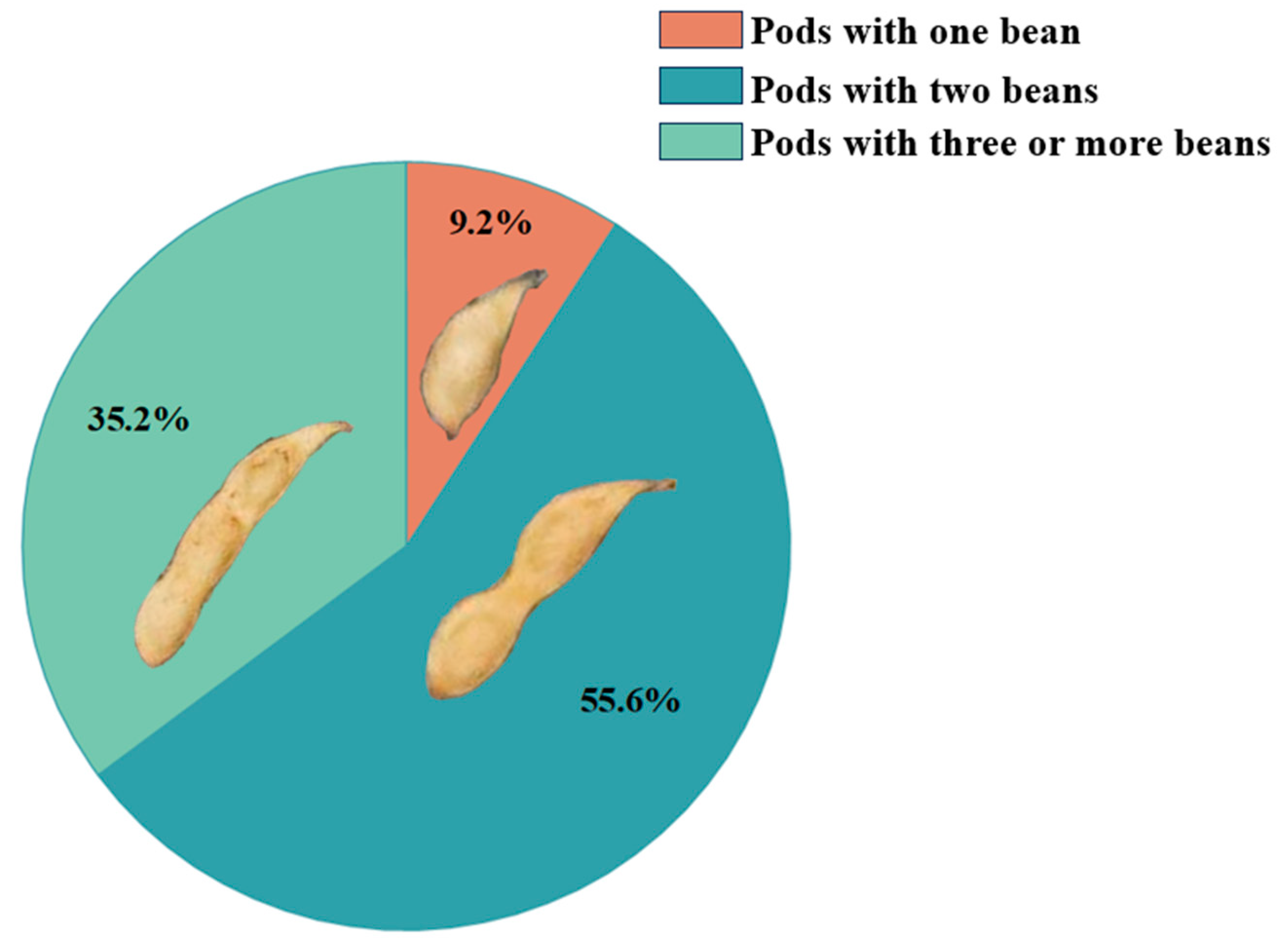 Plants 13 02613 g006