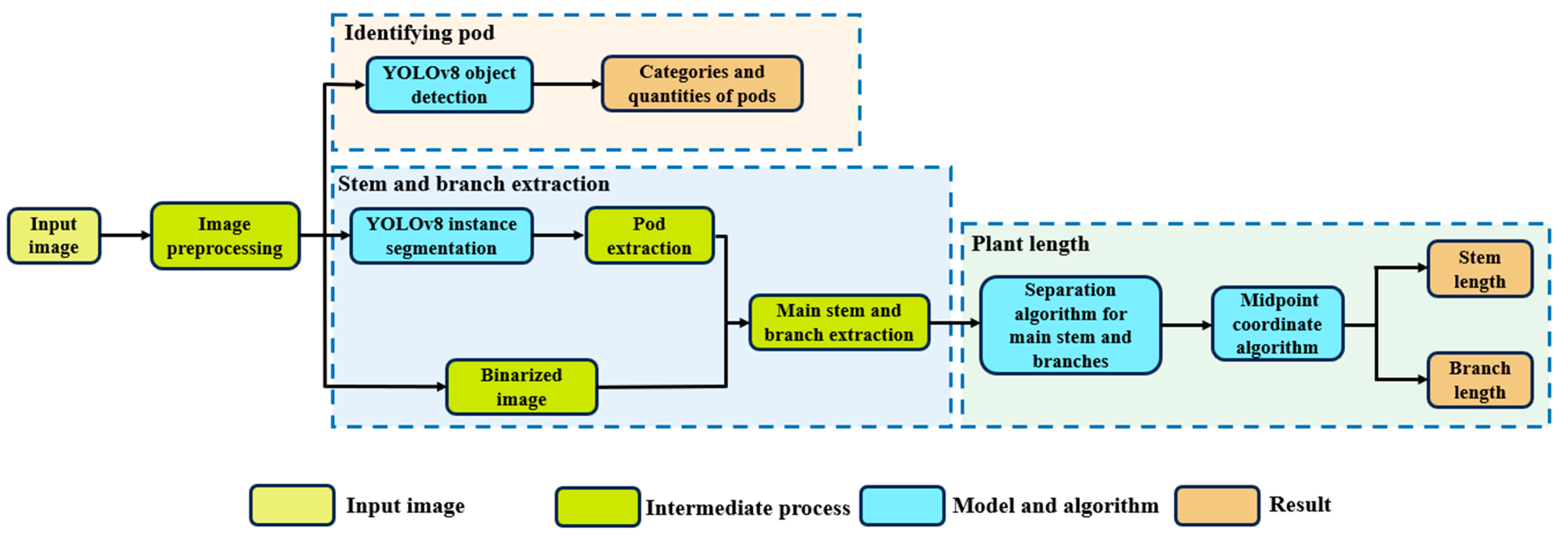 Plants 13 02613 g007