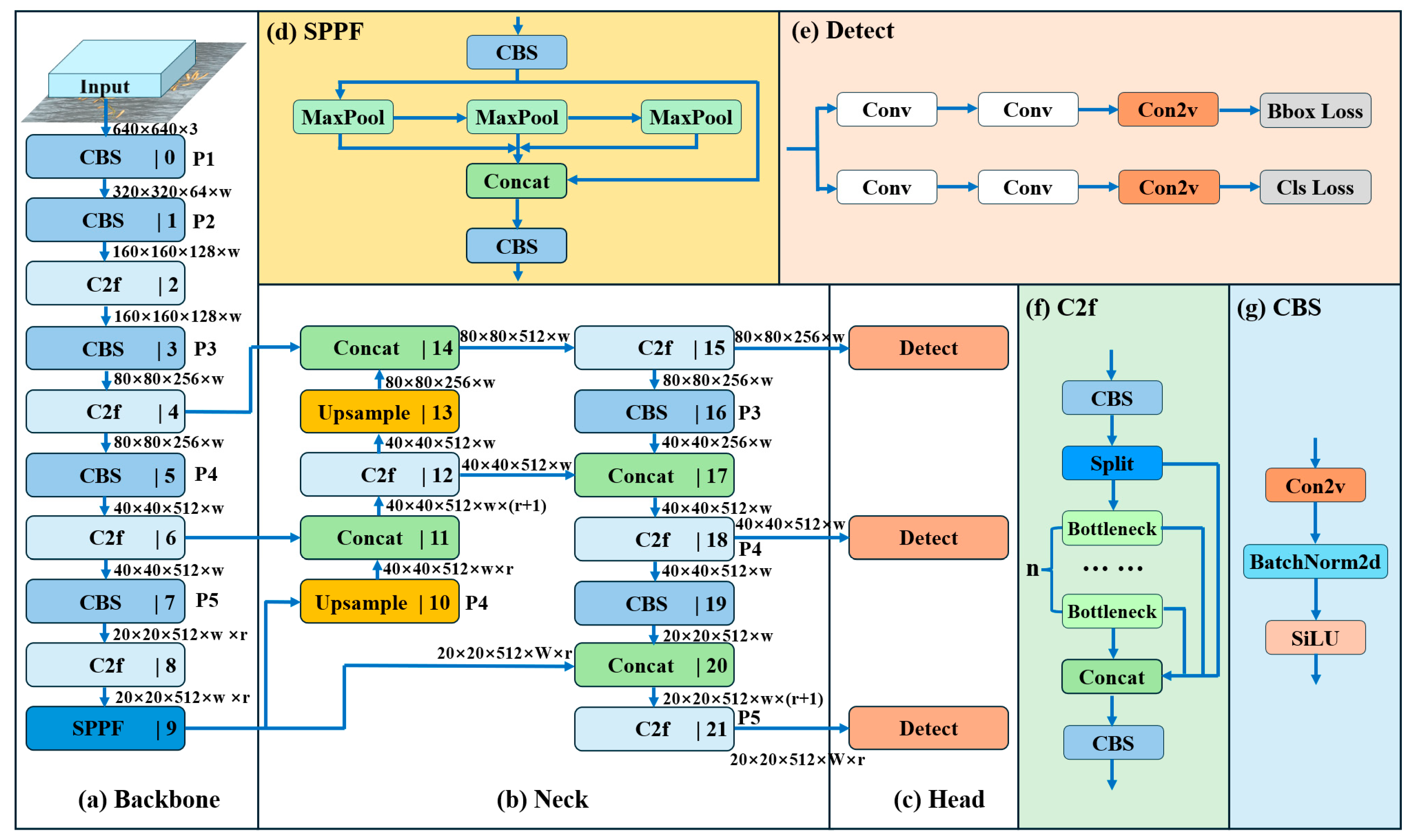 Plants 13 02613 g009