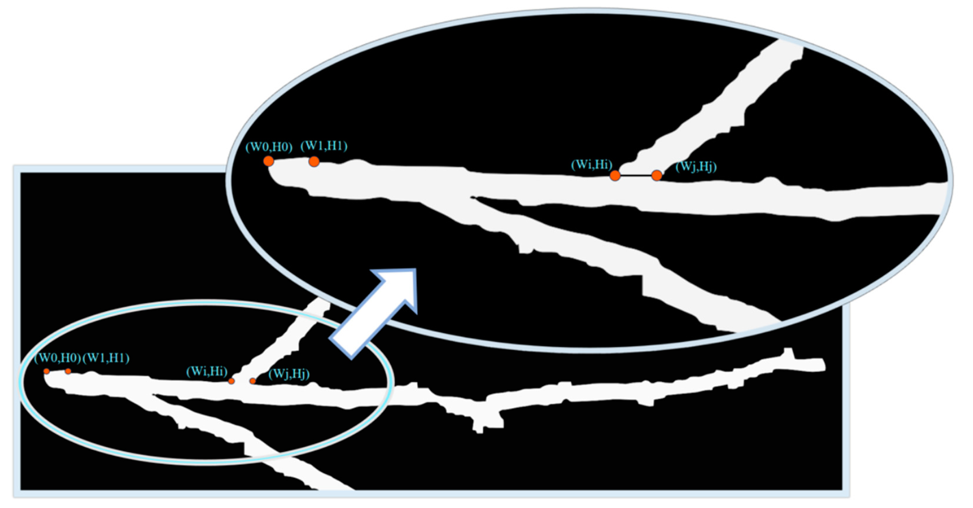 Plants 13 02613 g013