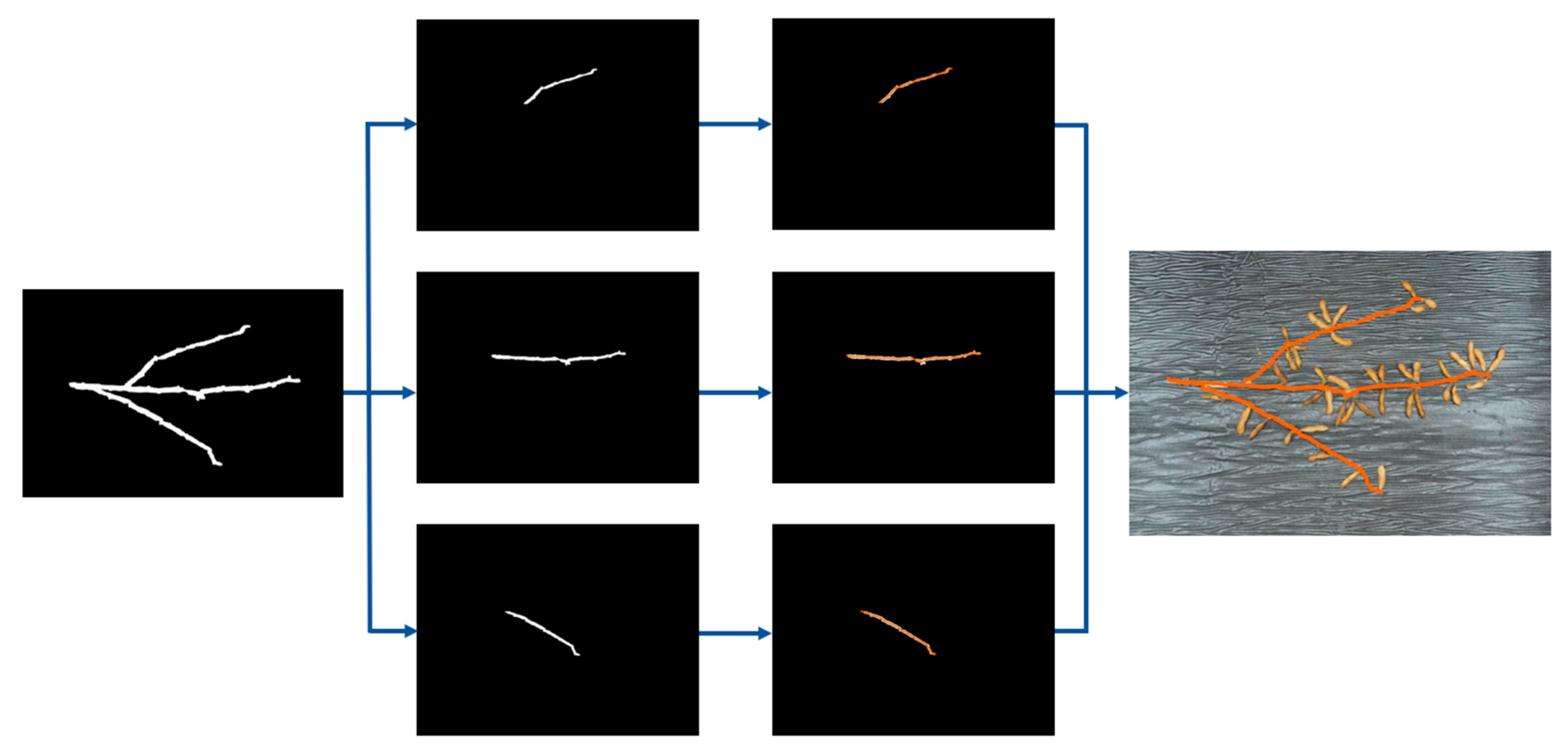 Plants 13 02613 g014