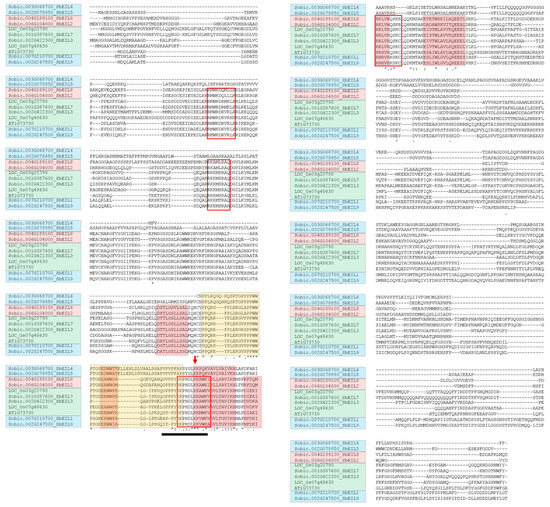 Plants 13 02615 g002