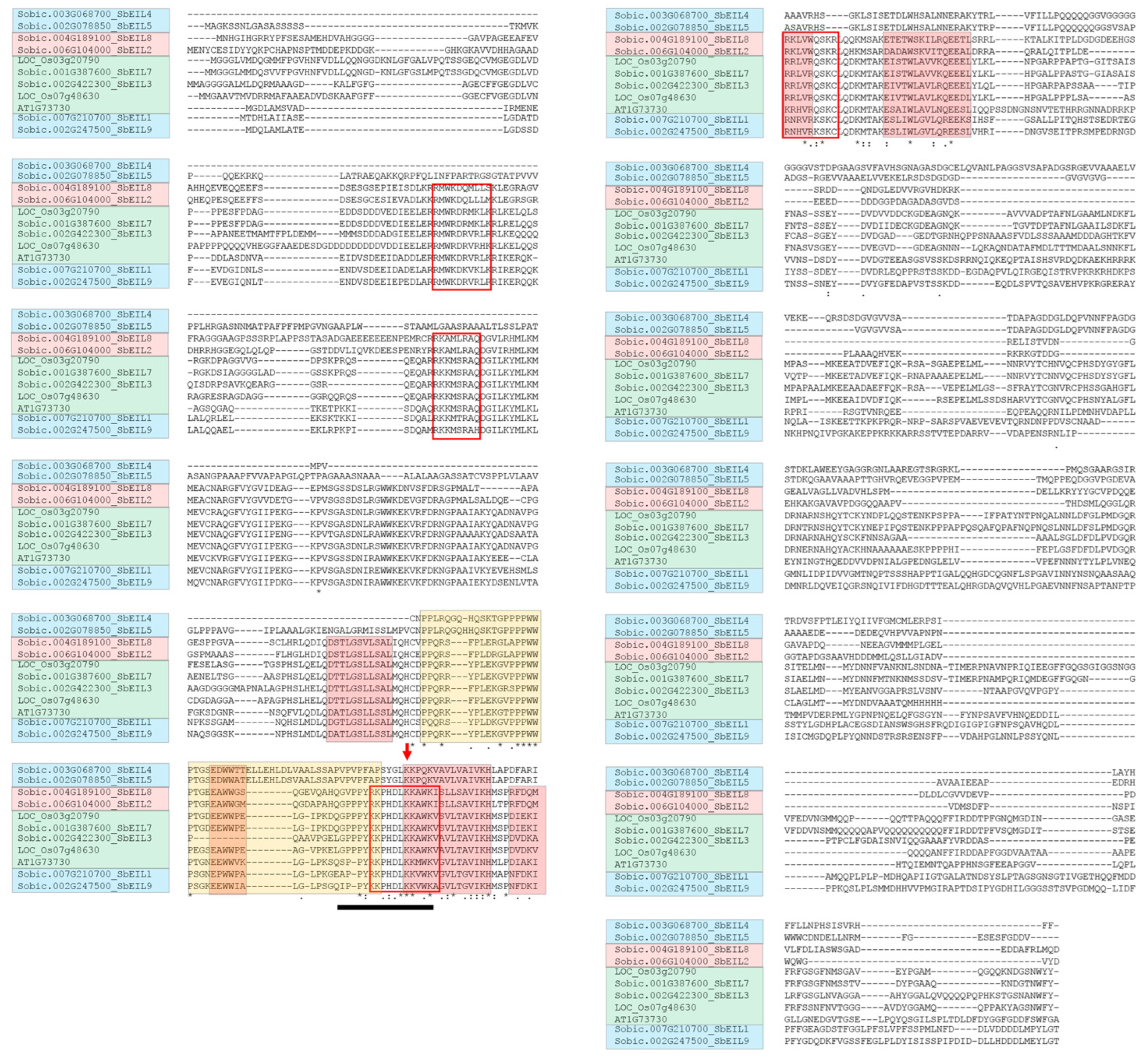 Plants 13 02615 g002