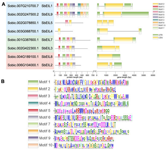 Plants 13 02615 g003