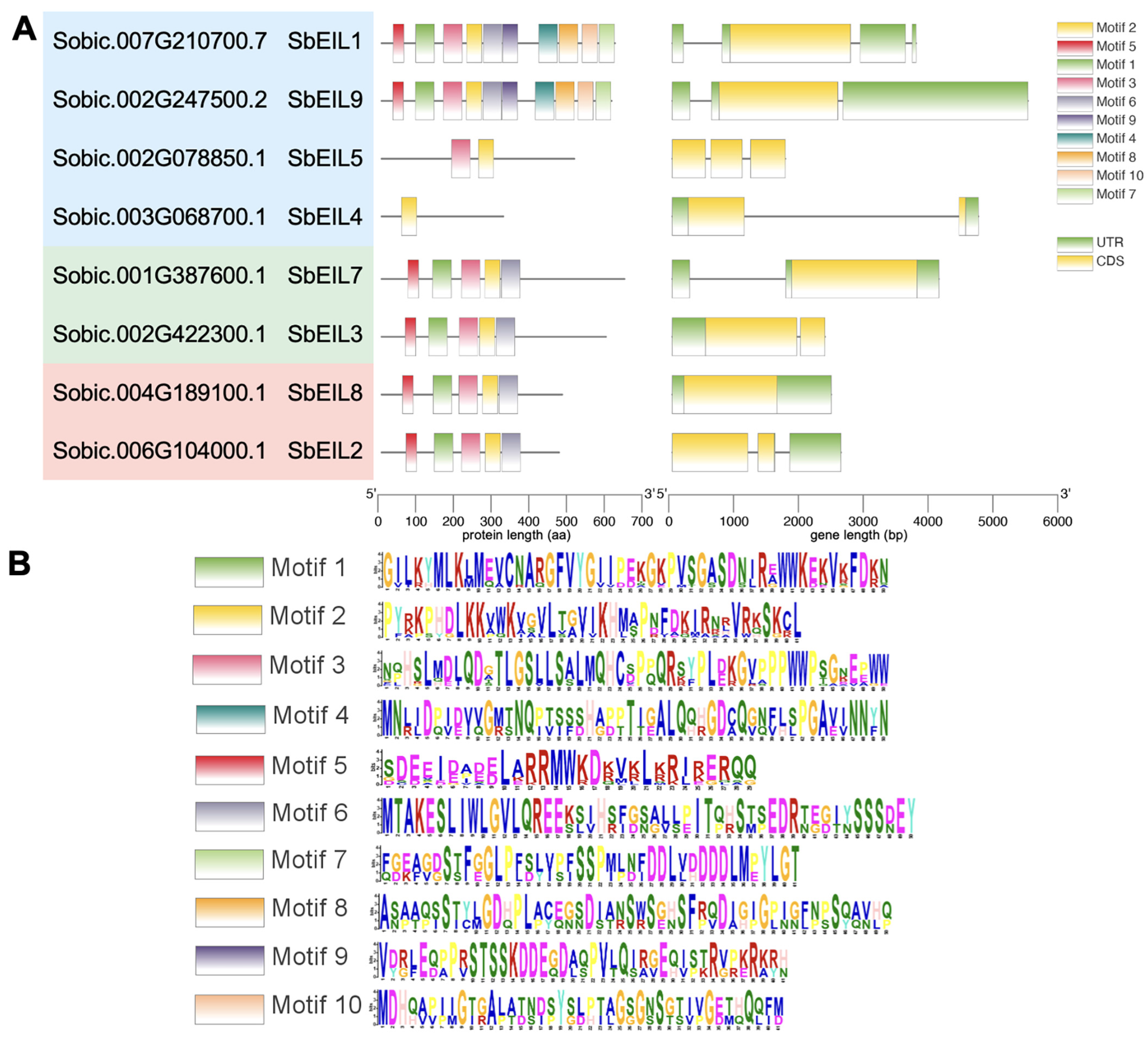 Plants 13 02615 g003