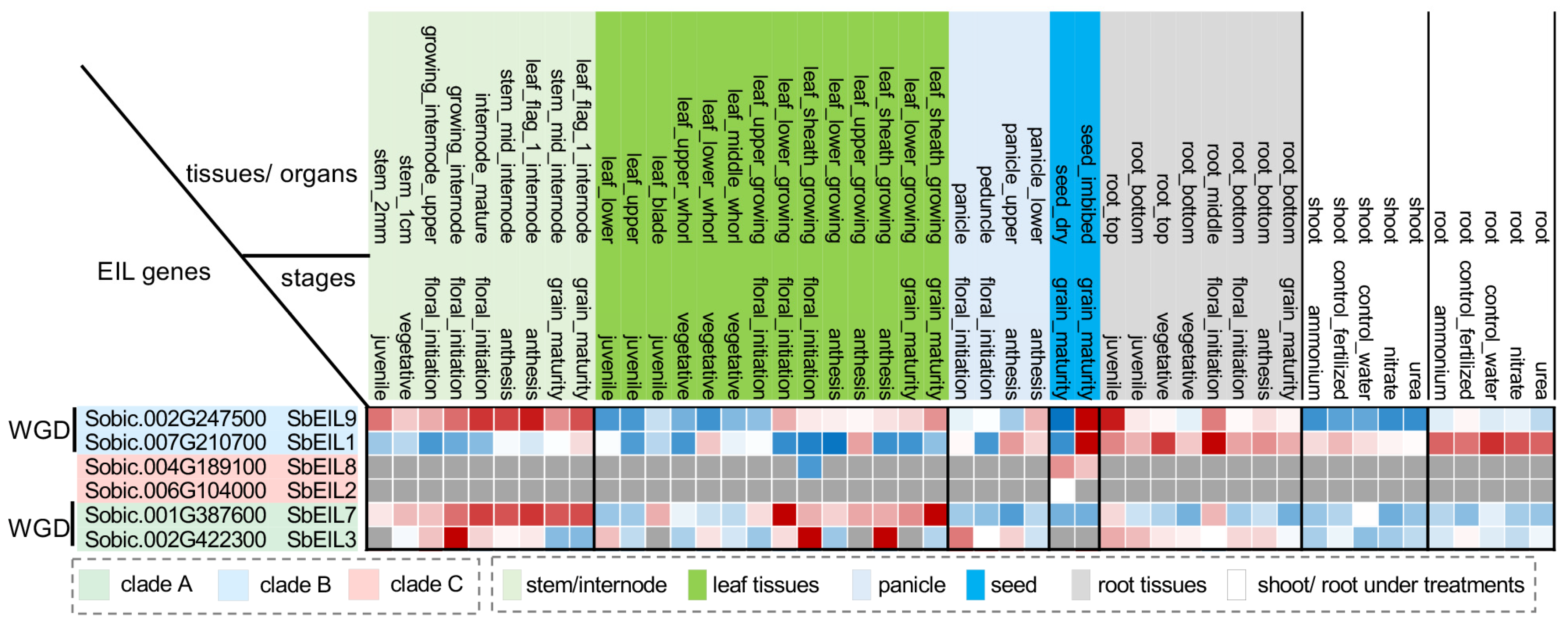 Plants 13 02615 g004