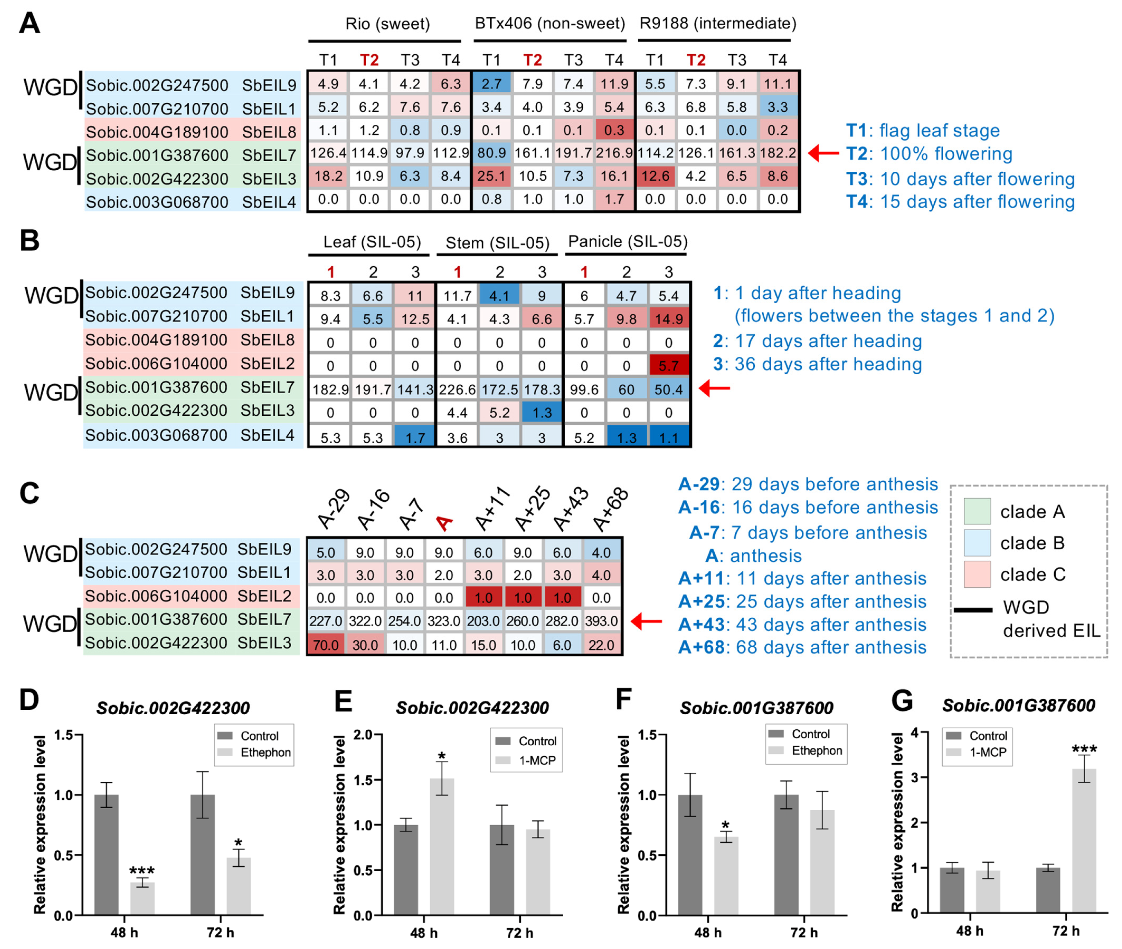 Plants 13 02615 g005
