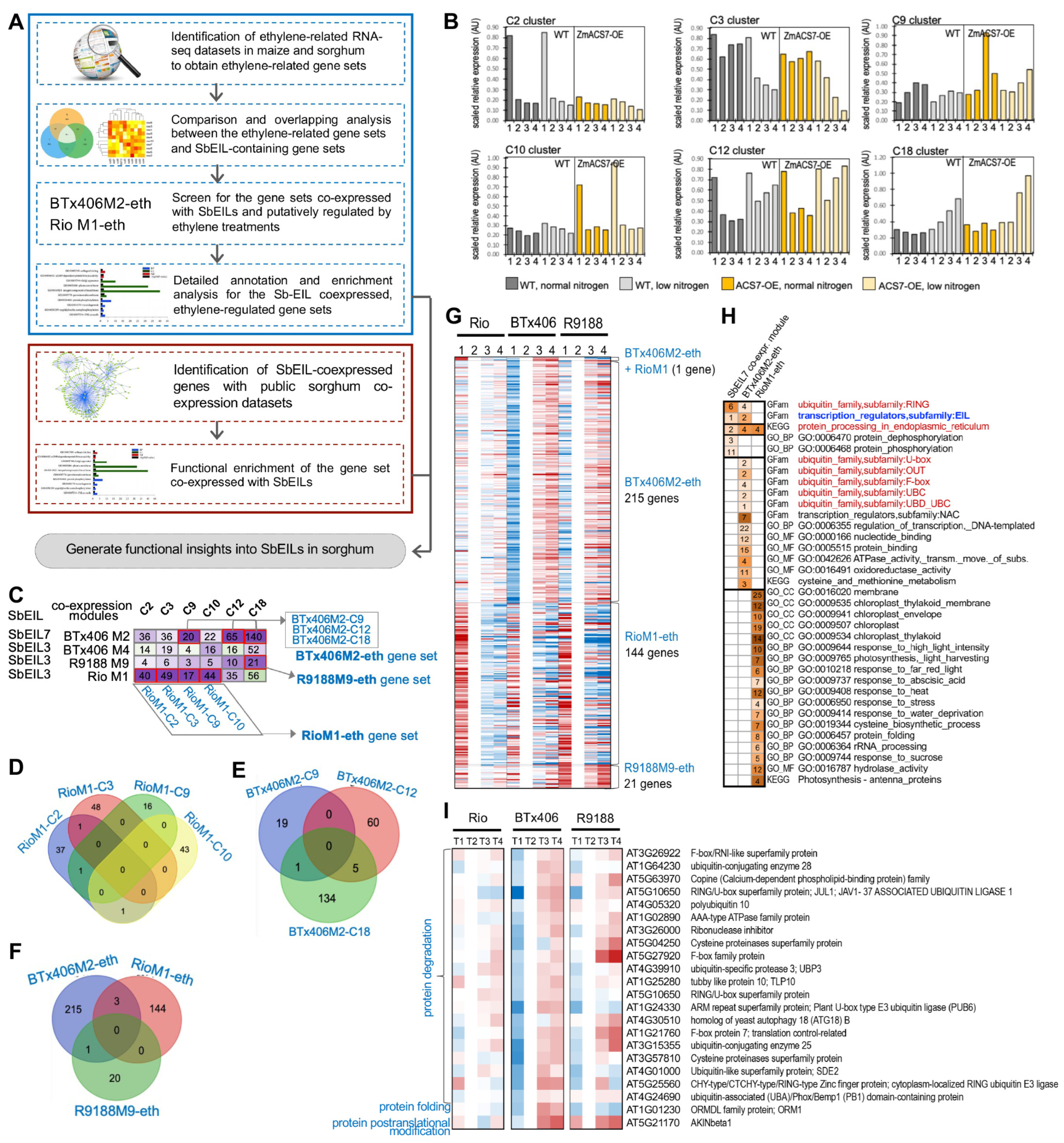 Plants 13 02615 g006
