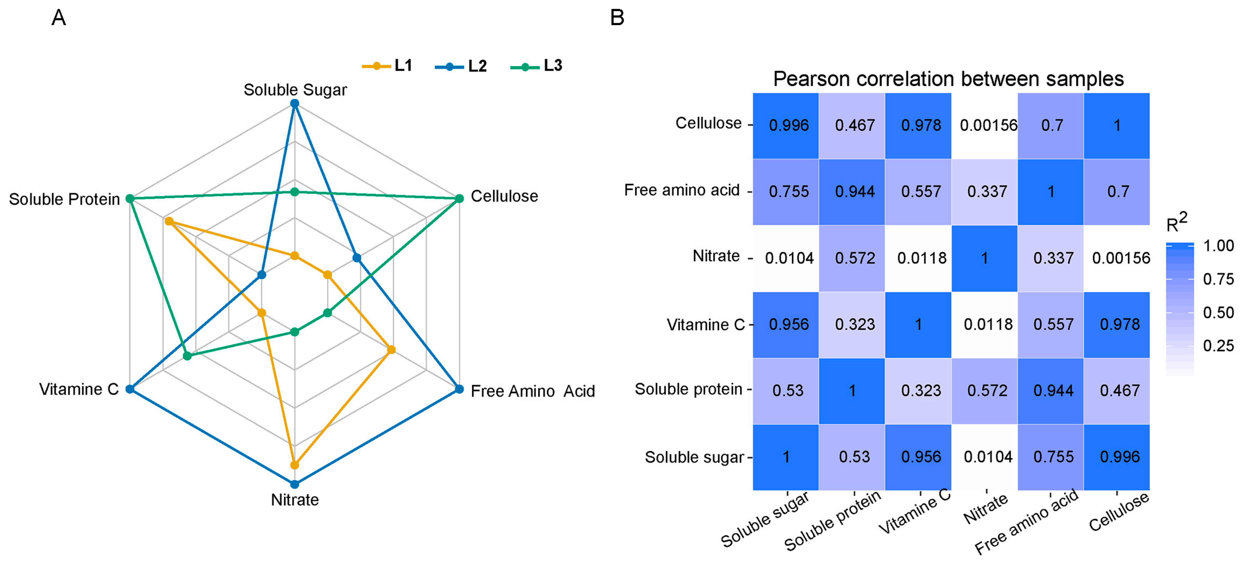 Plants 13 02616 g002