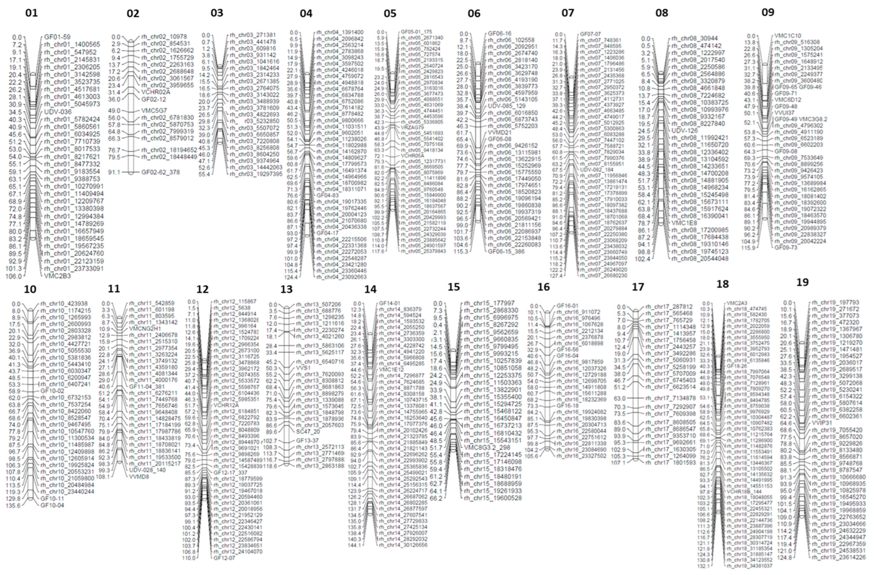 Plants 13 02624 g003 Plants 13 02624 g003