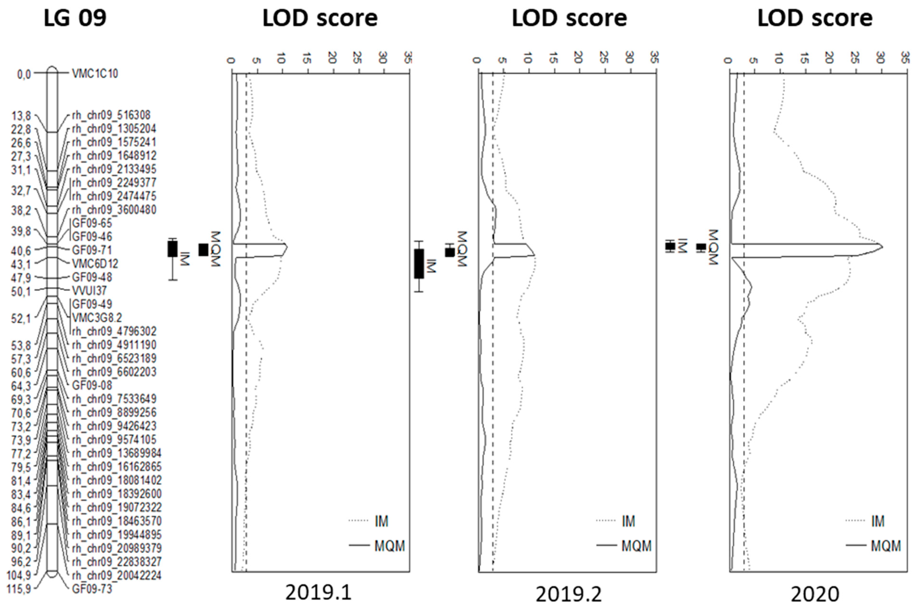 Plants 13 02624 g004 Plants 13 02624 g004